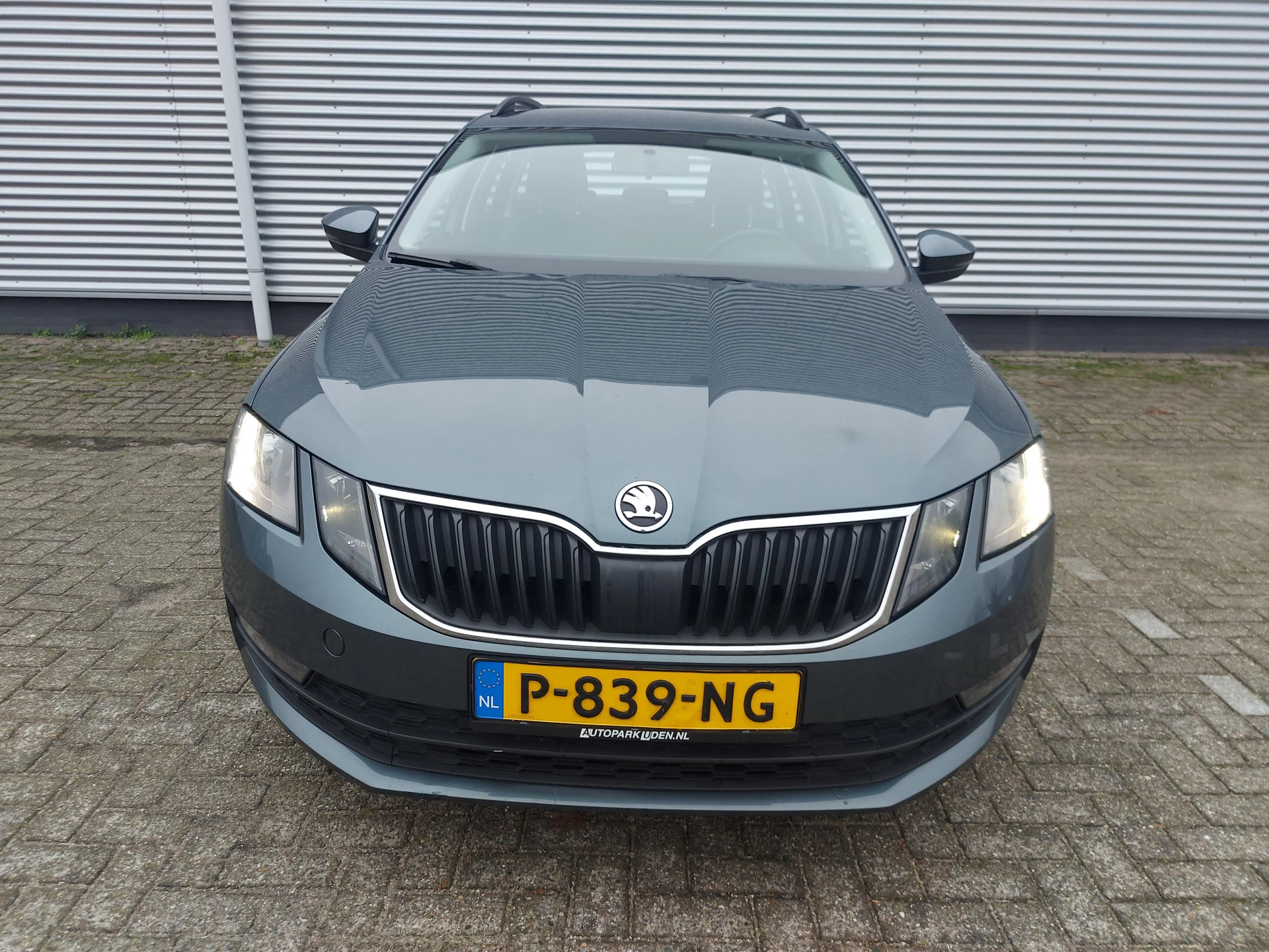 Hoofdafbeelding Škoda Octavia