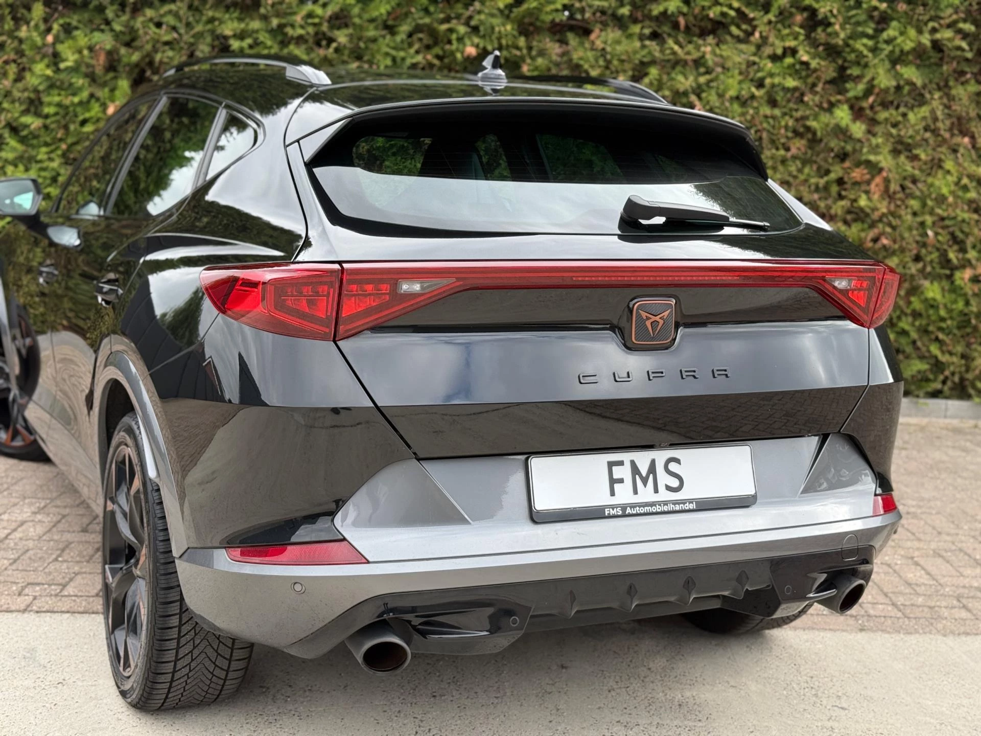 Hoofdafbeelding CUPRA Formentor