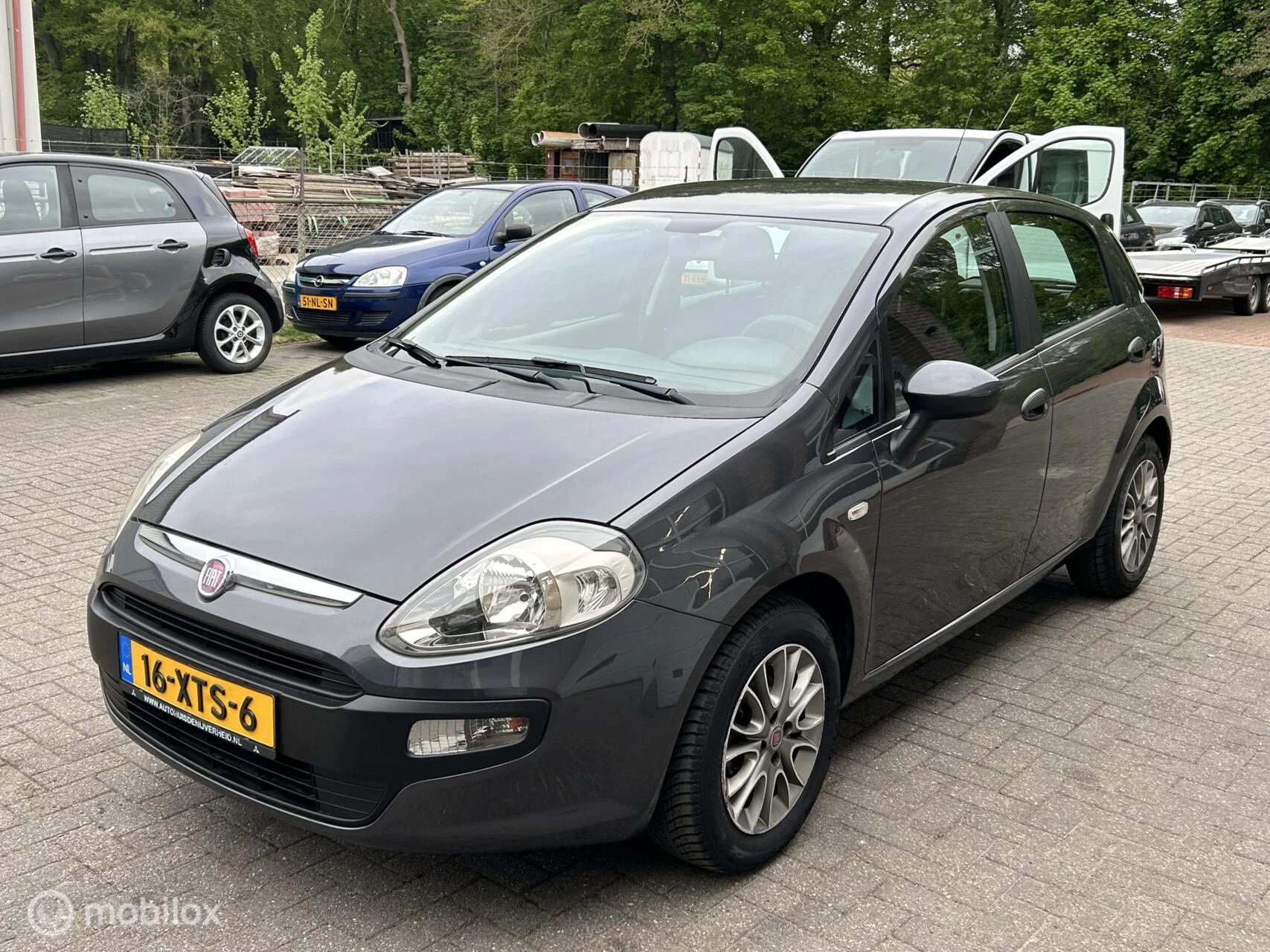 Hoofdafbeelding Fiat Punto