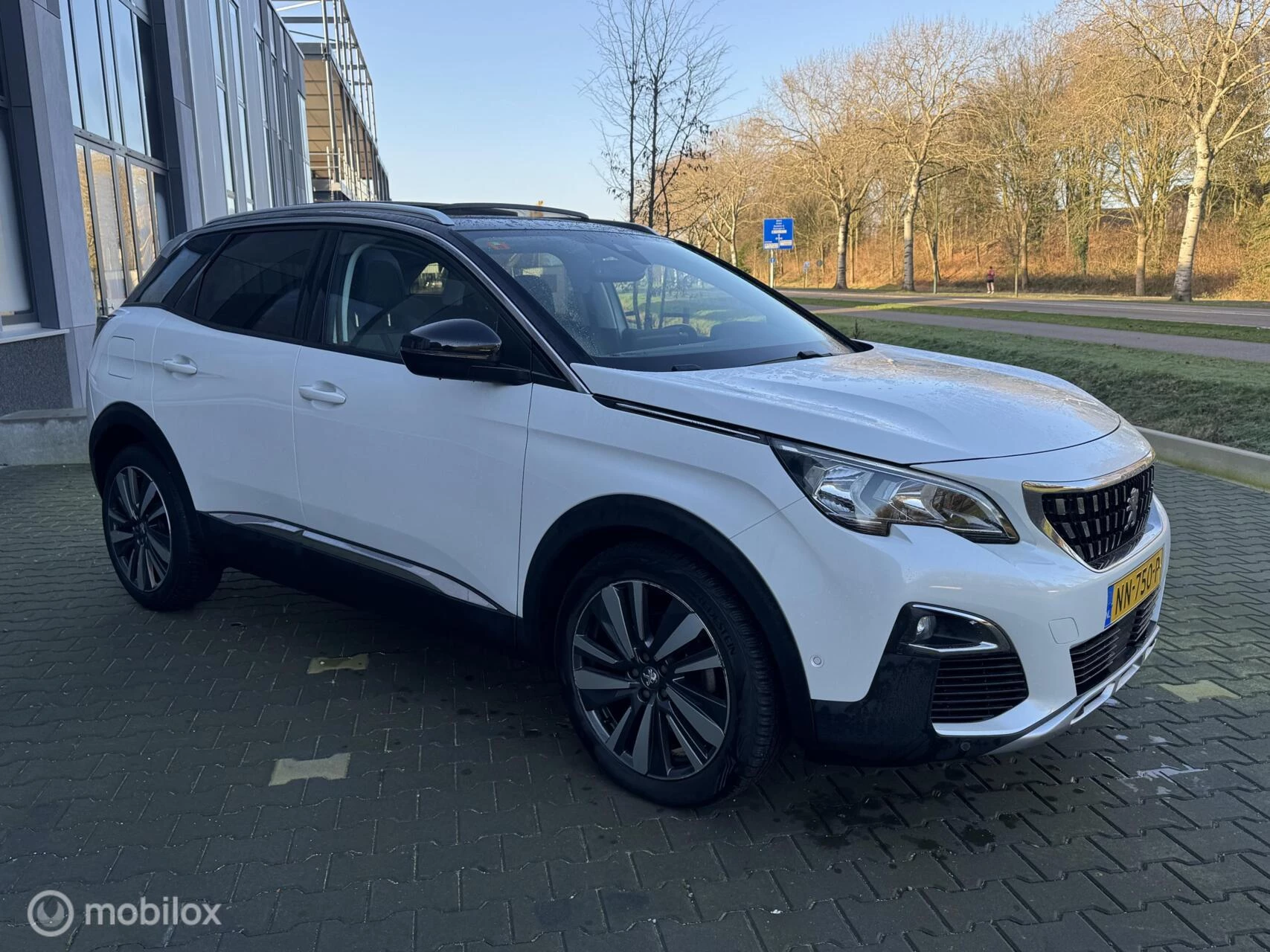 Hoofdafbeelding Peugeot 3008