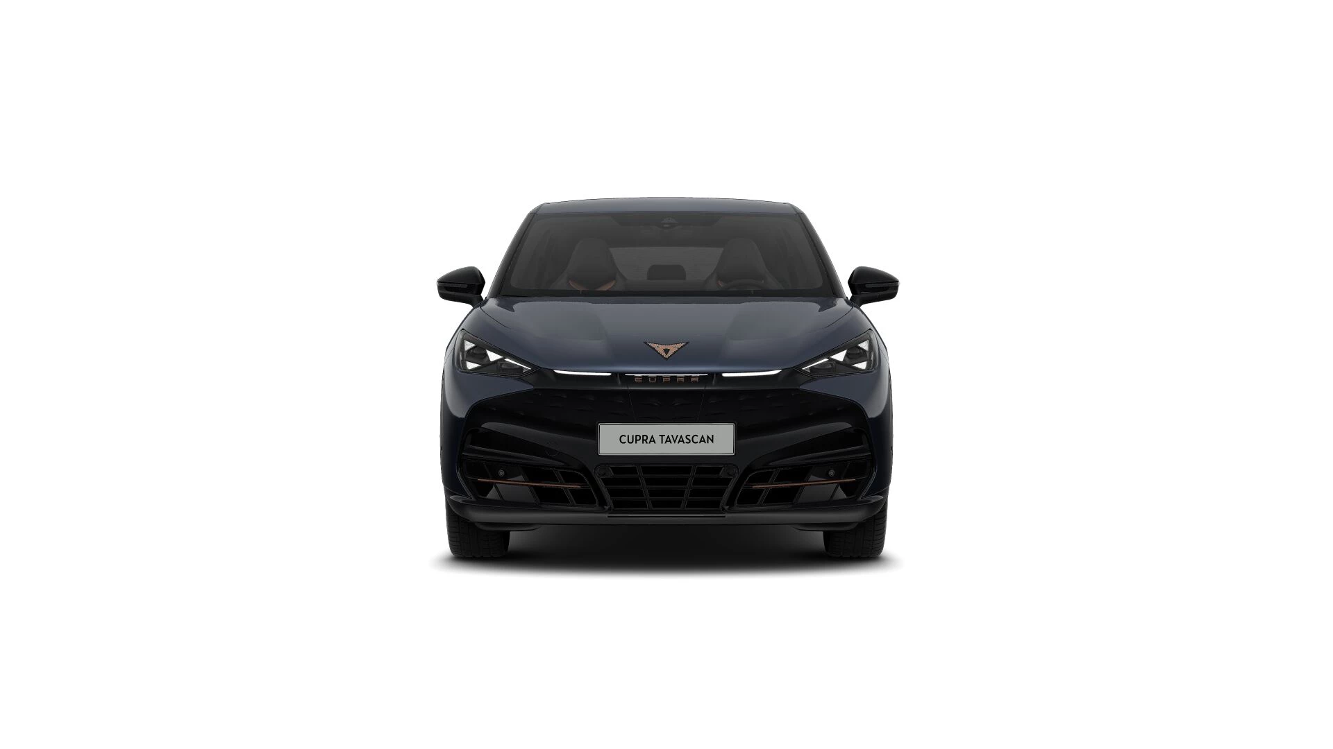 Hoofdafbeelding CUPRA Tavascan
