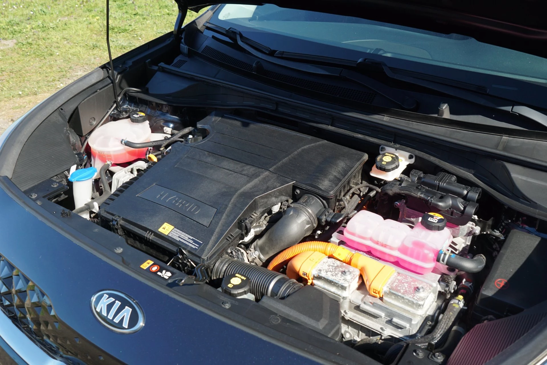 Hoofdafbeelding Kia Niro