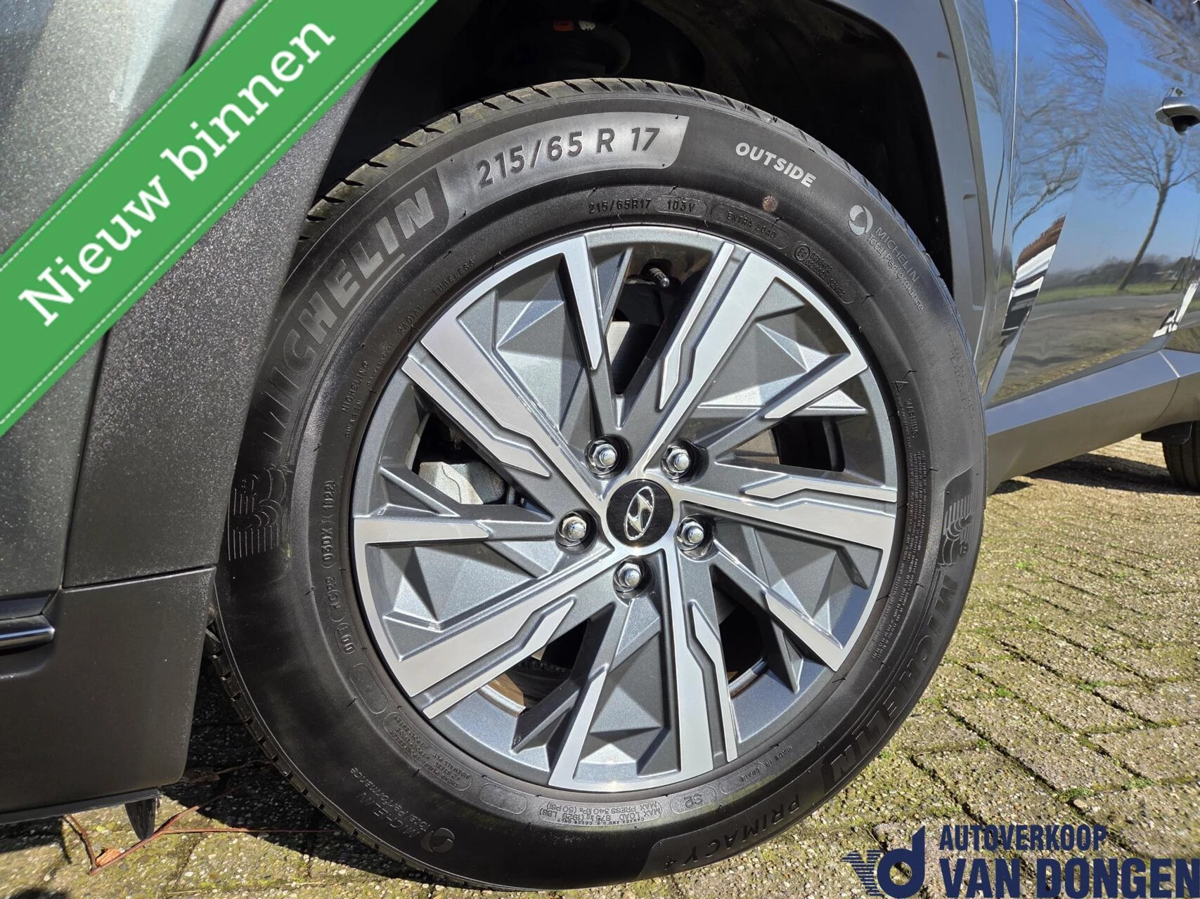 Hoofdafbeelding Hyundai Tucson