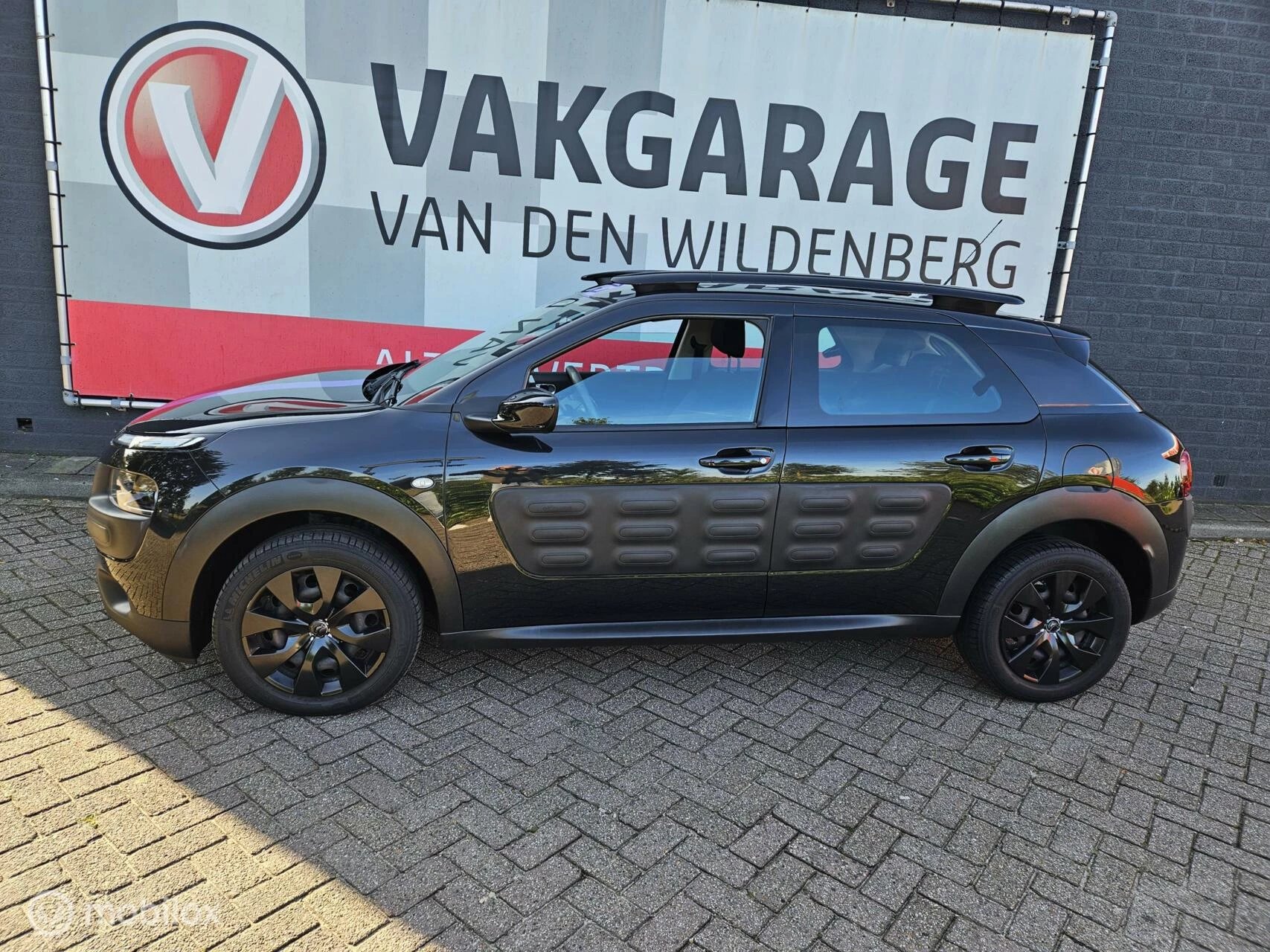 Hoofdafbeelding Citroën C4 Cactus