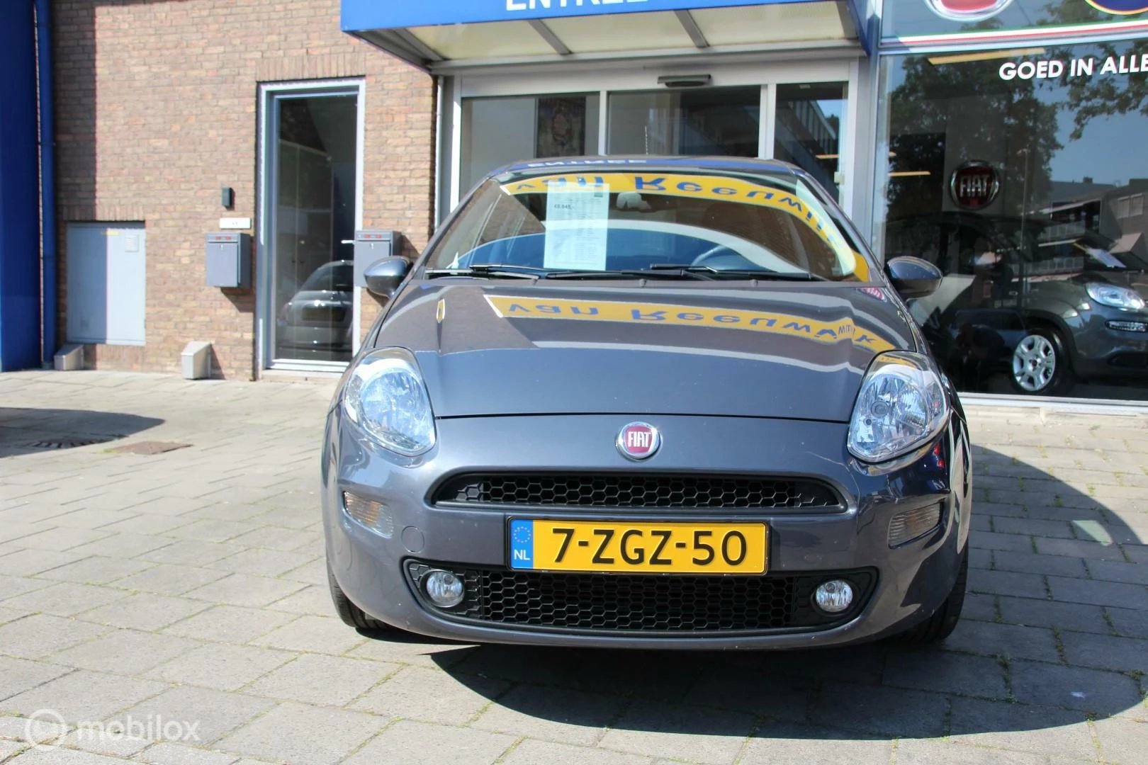 Hoofdafbeelding Fiat Punto