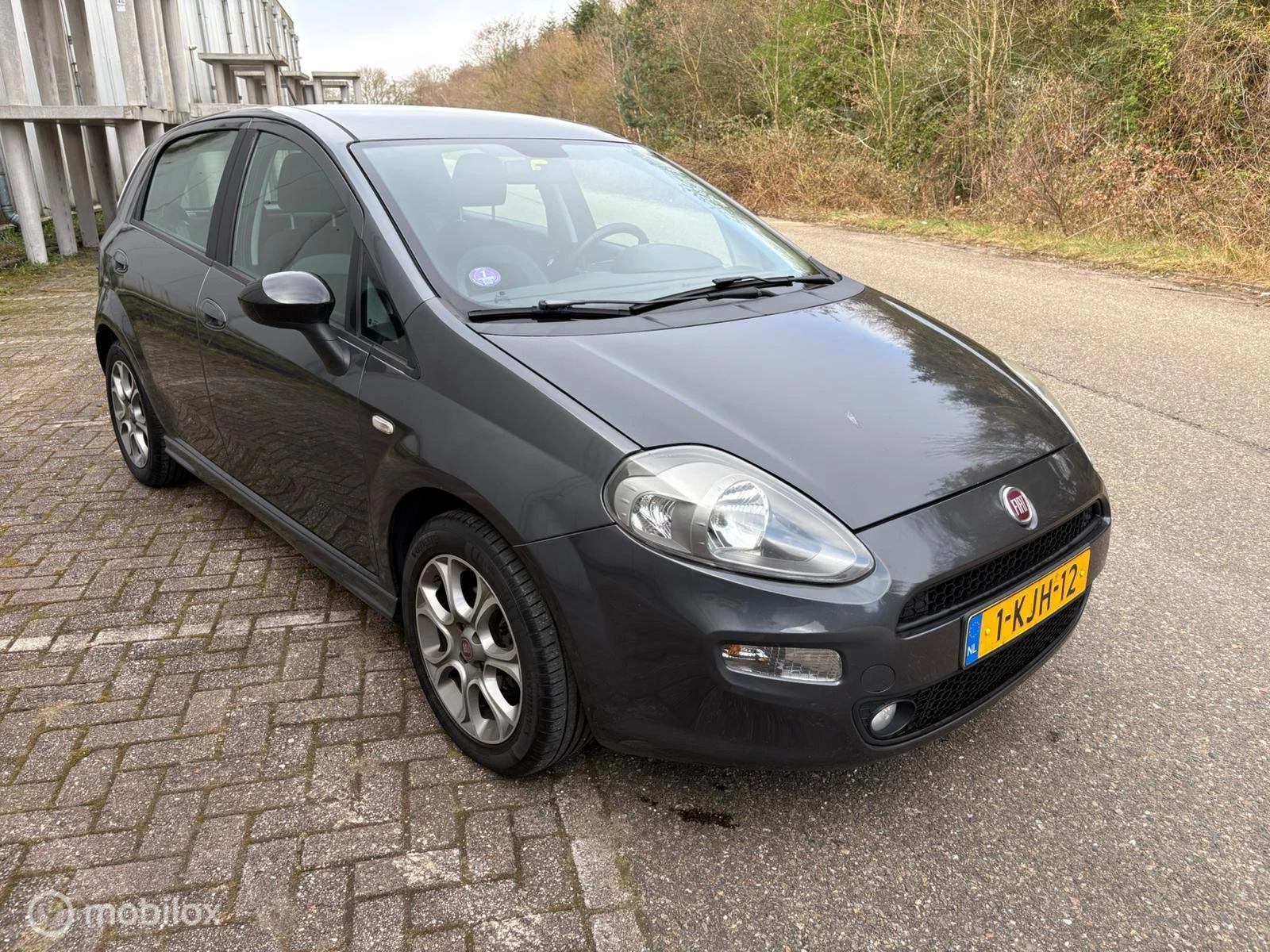Hoofdafbeelding Fiat Punto