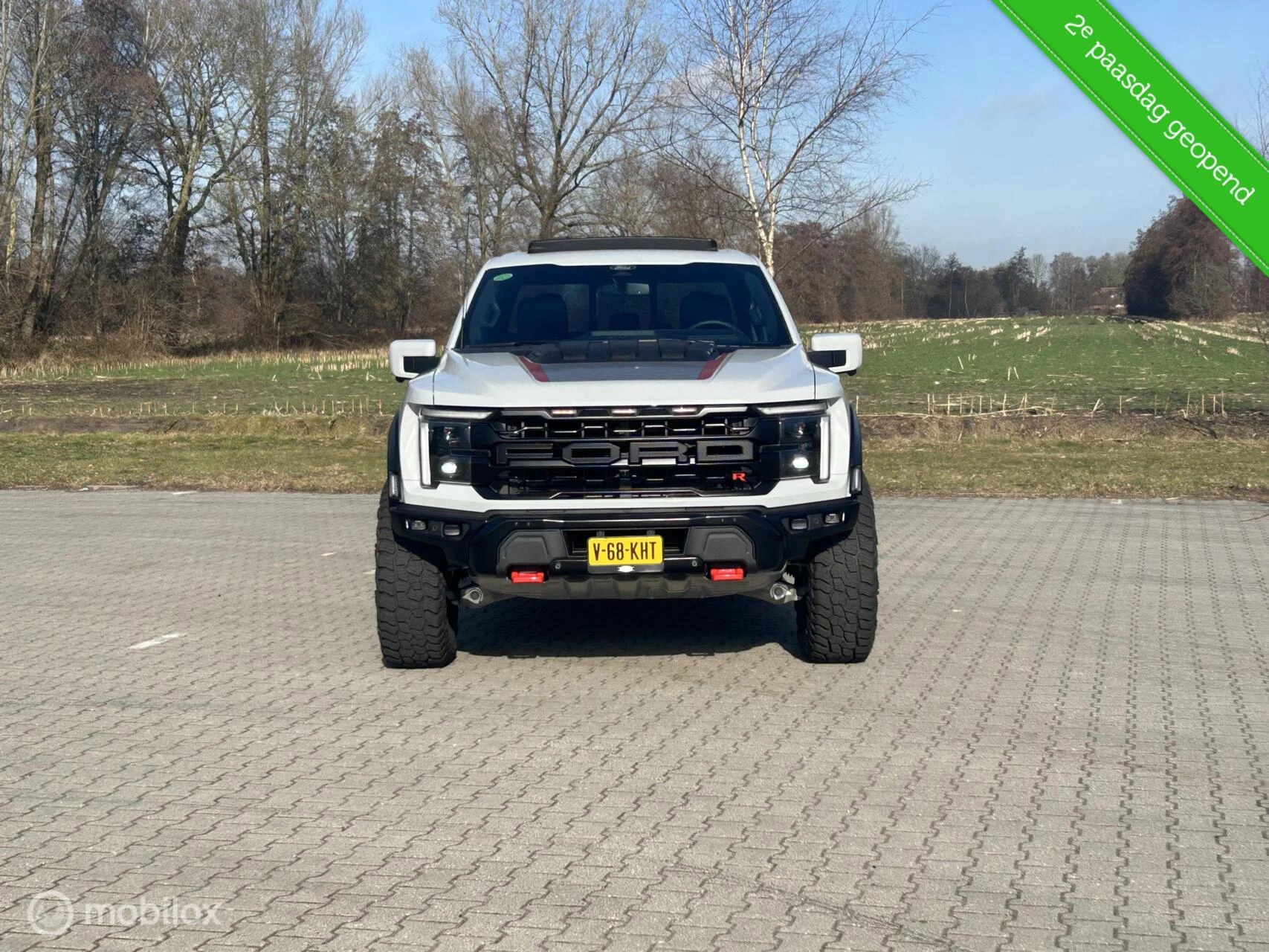 Hoofdafbeelding Ford F-150