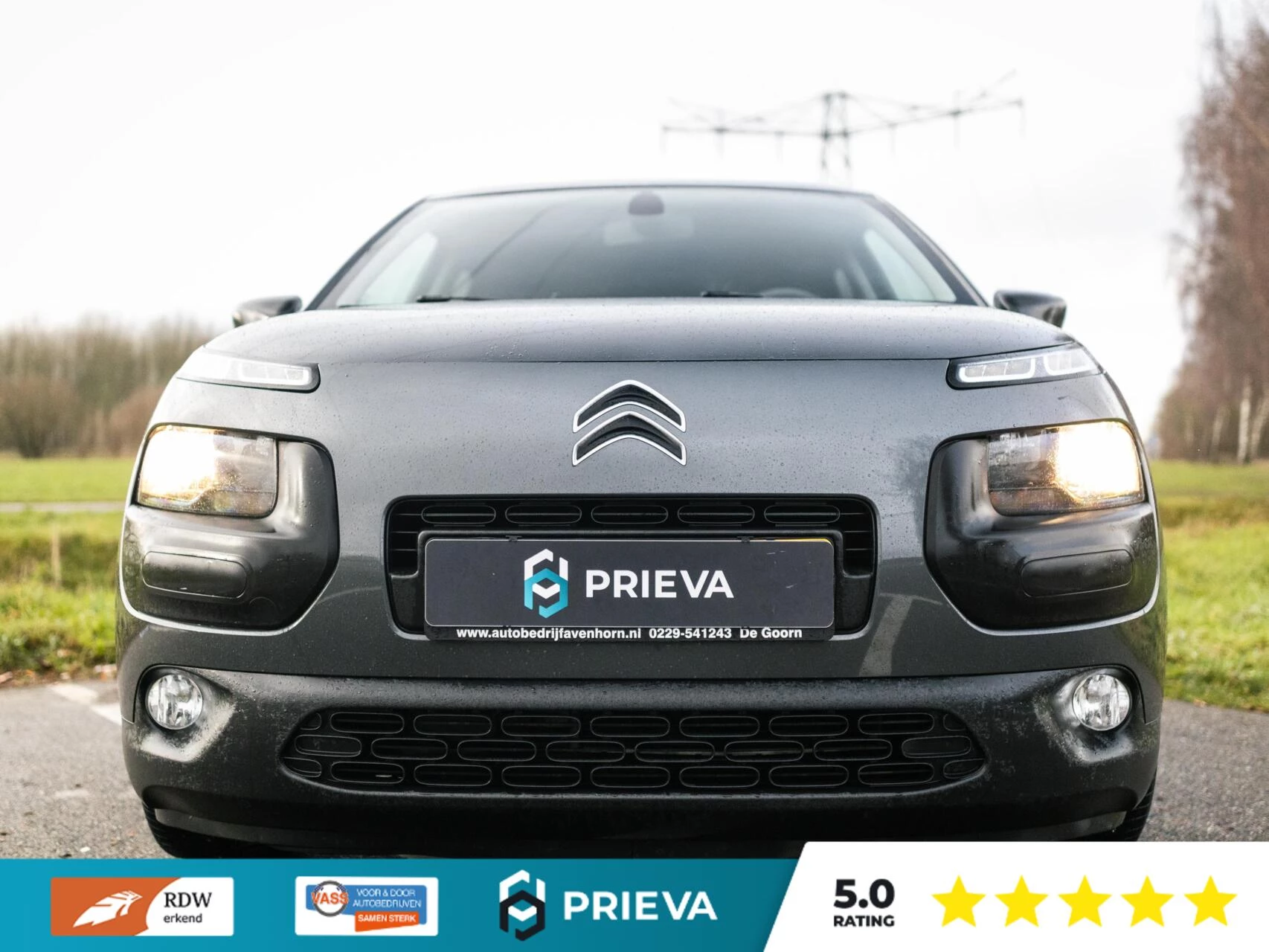 Hoofdafbeelding Citroën C4 Cactus