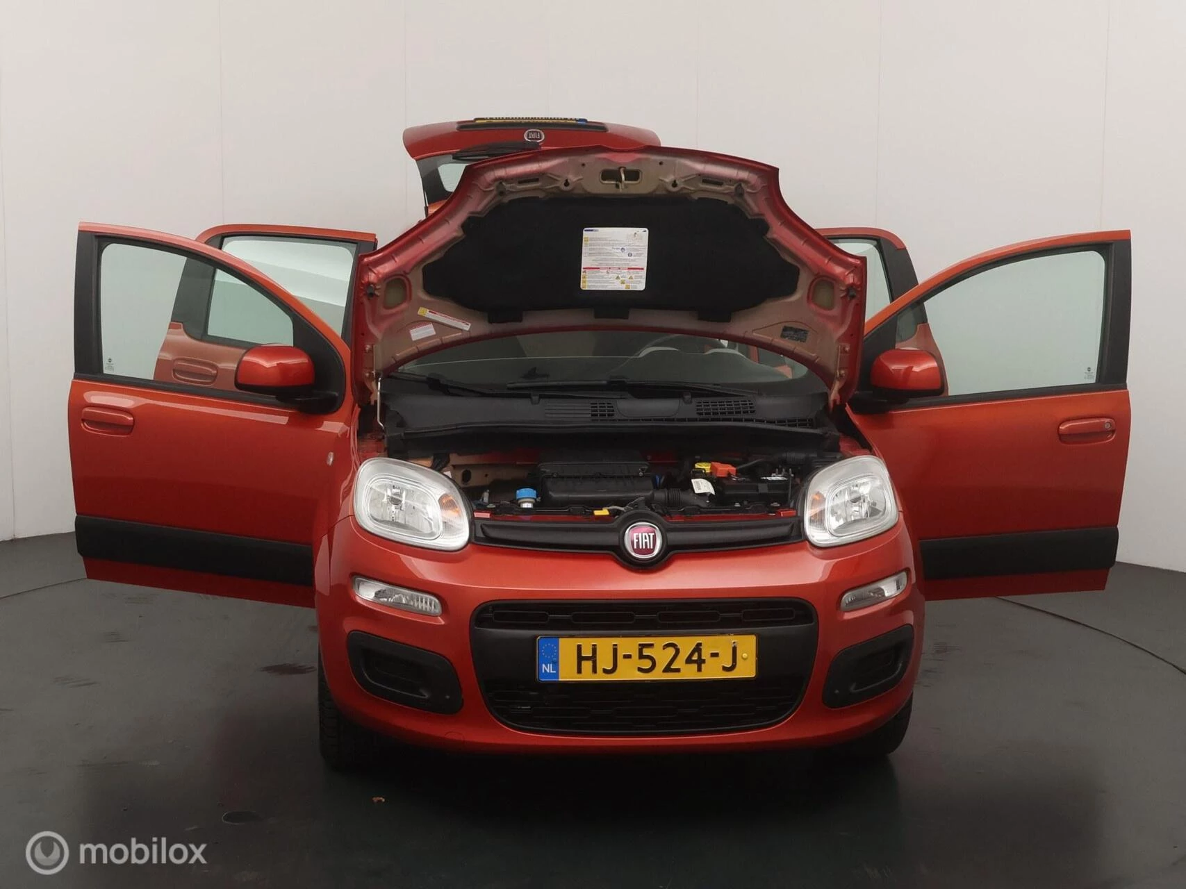 Hoofdafbeelding Fiat Panda