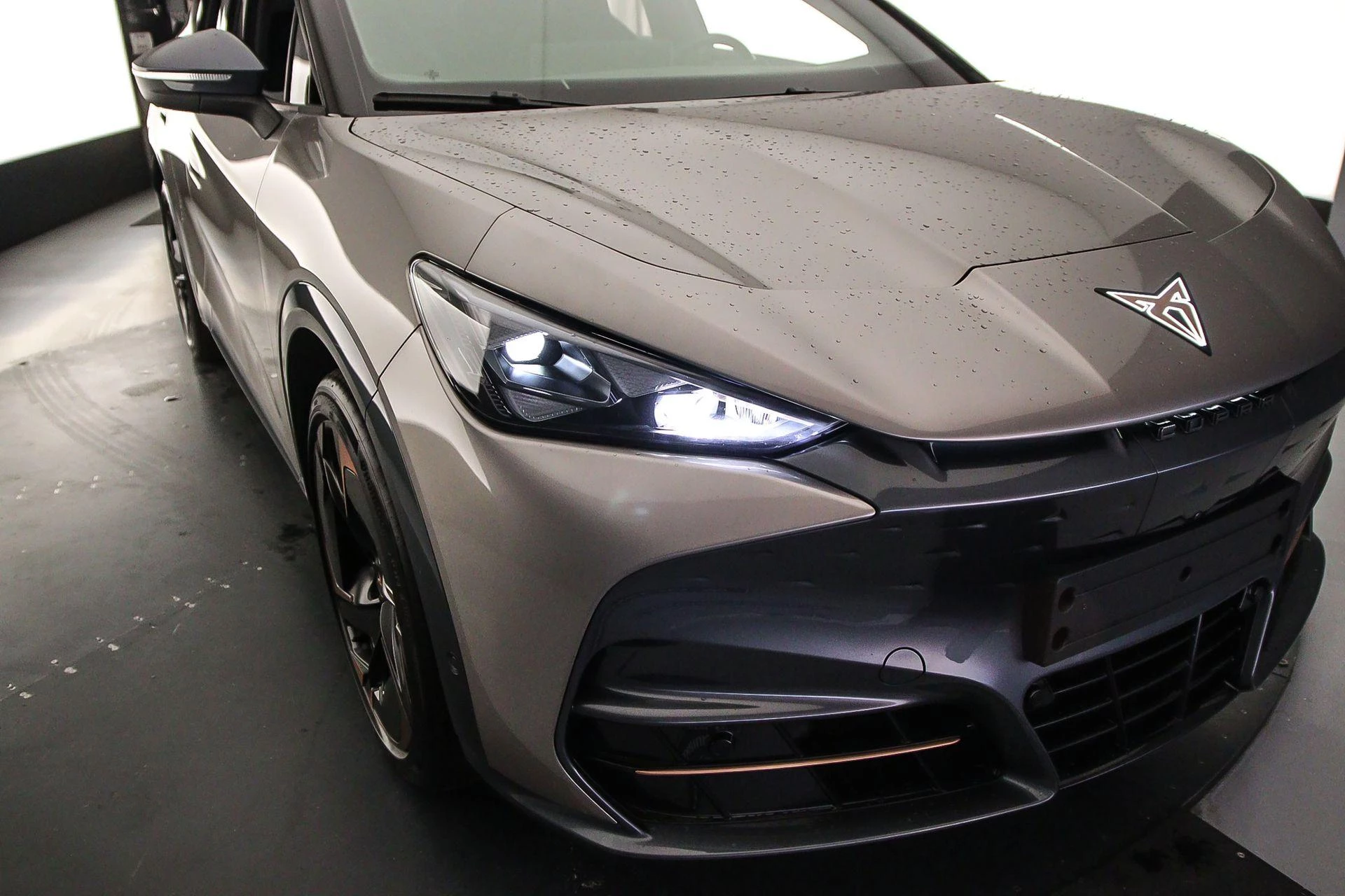 Hoofdafbeelding CUPRA Tavascan