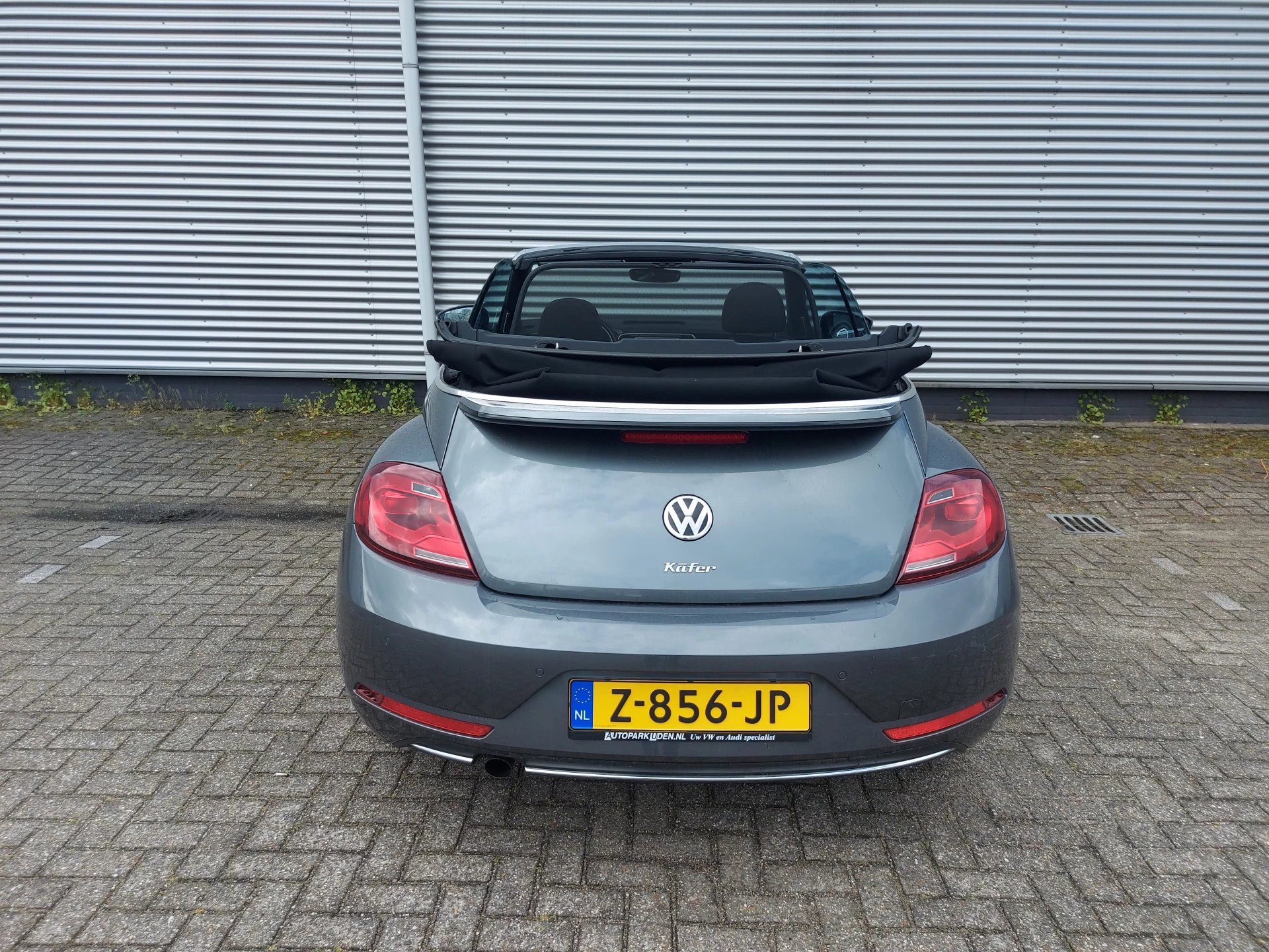 Hoofdafbeelding Volkswagen Beetle