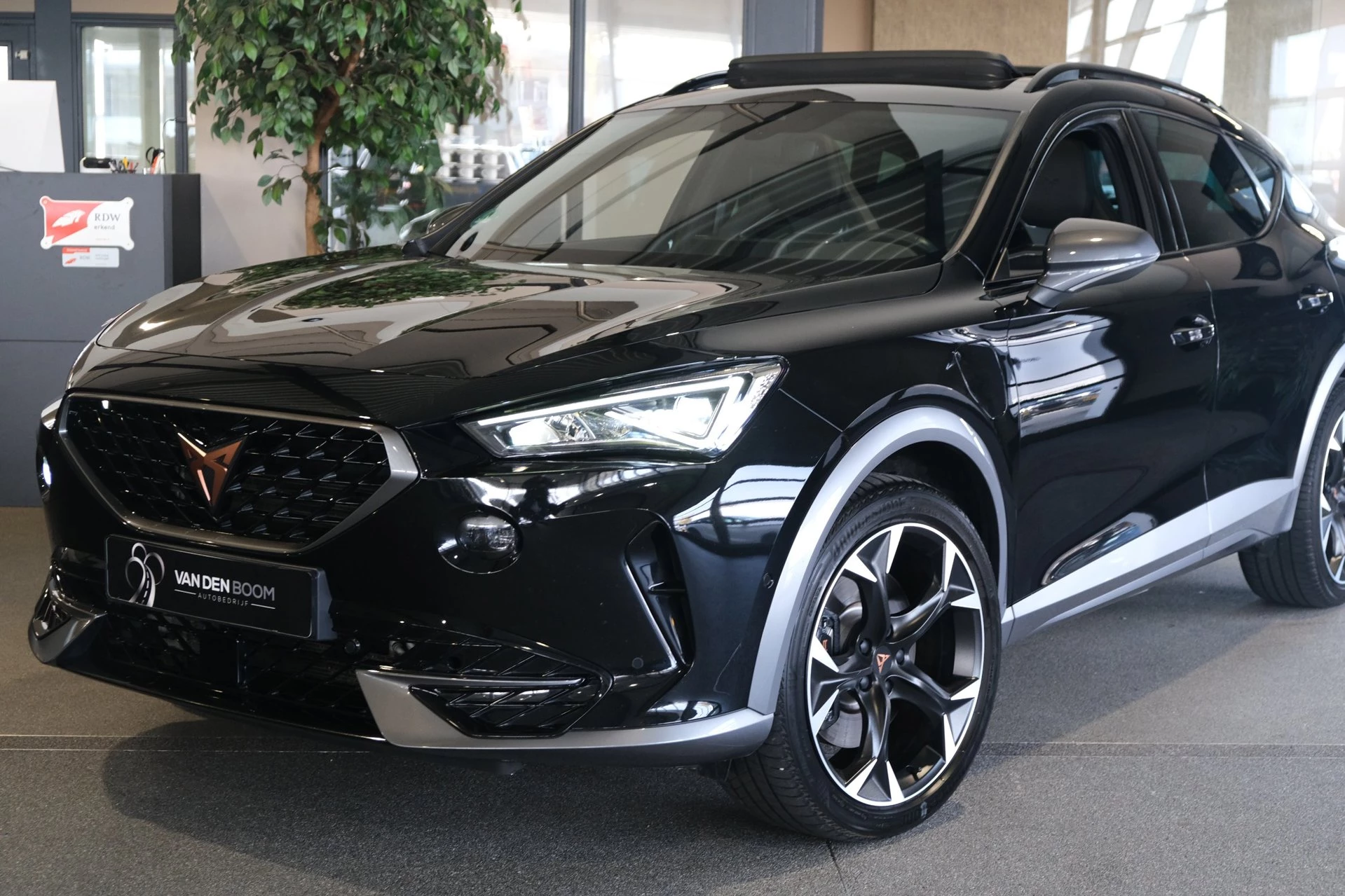 Hoofdafbeelding CUPRA Formentor