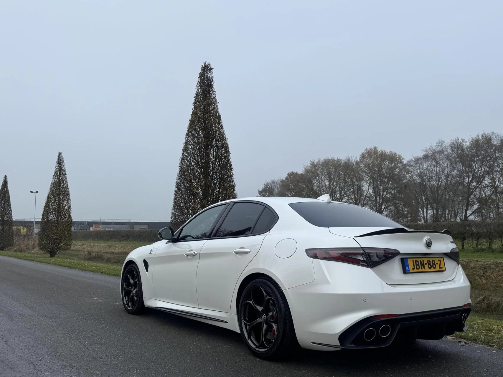 Hoofdafbeelding Alfa Romeo Giulia