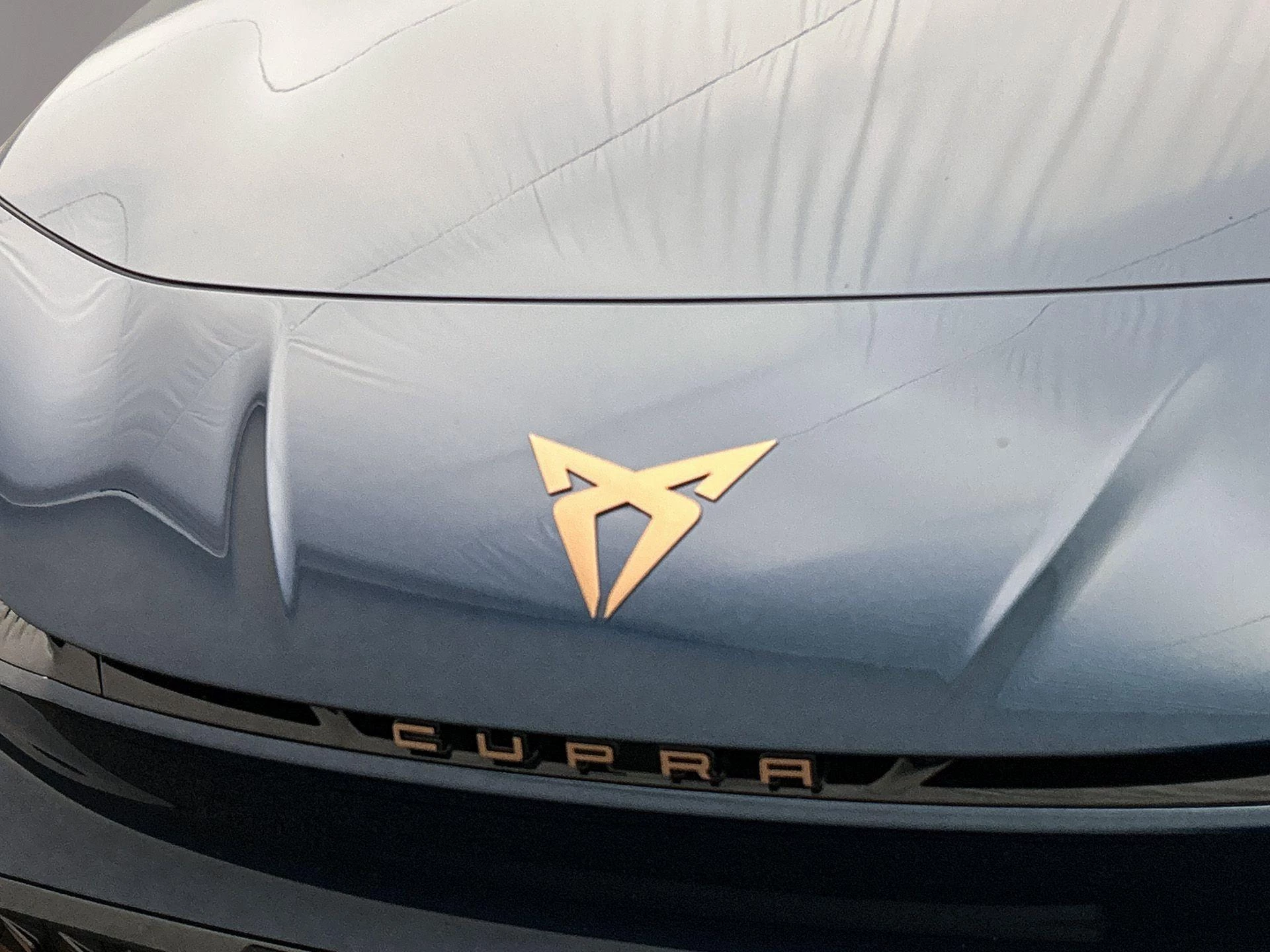 Hoofdafbeelding CUPRA Born