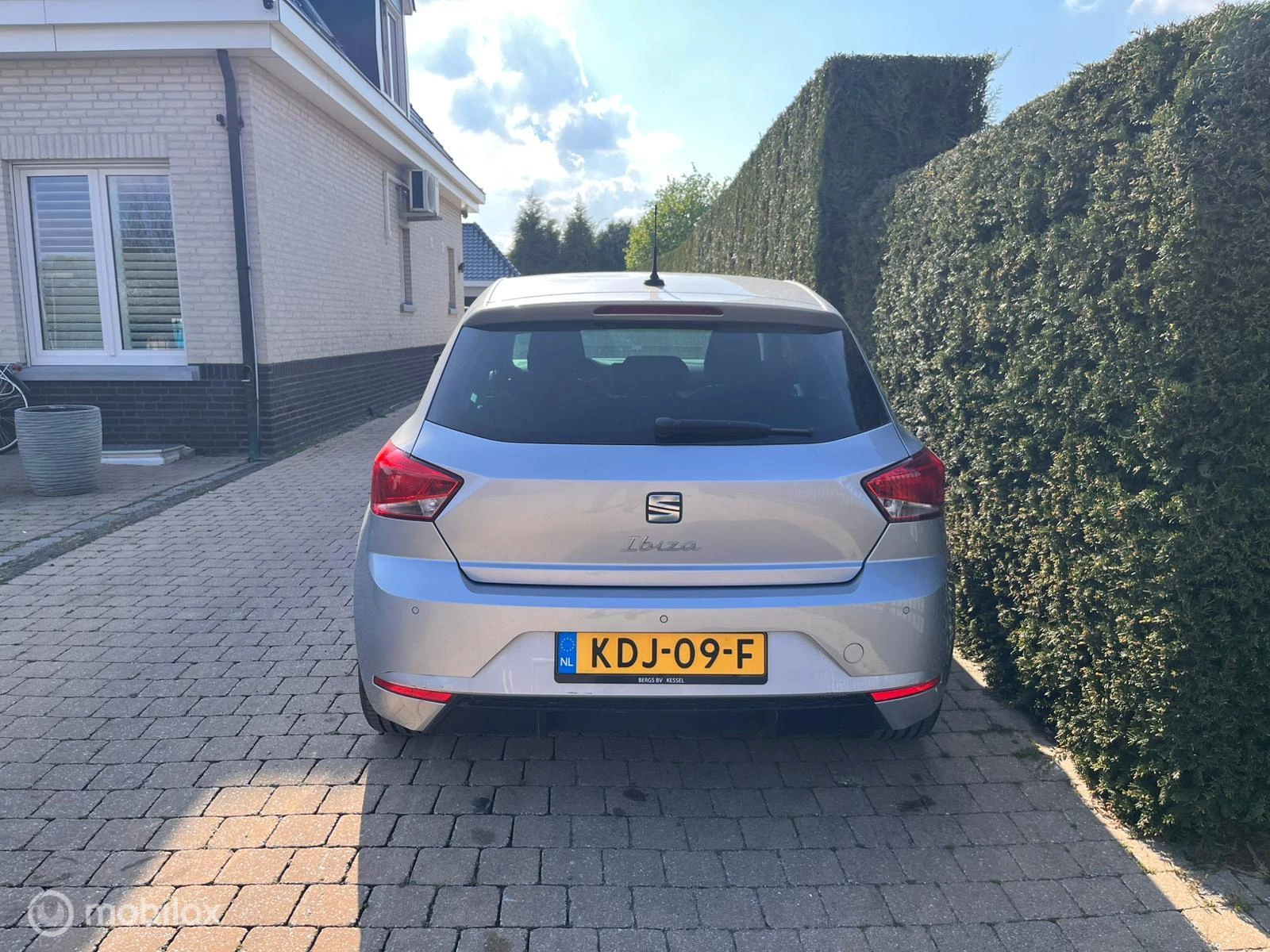 Hoofdafbeelding SEAT Ibiza