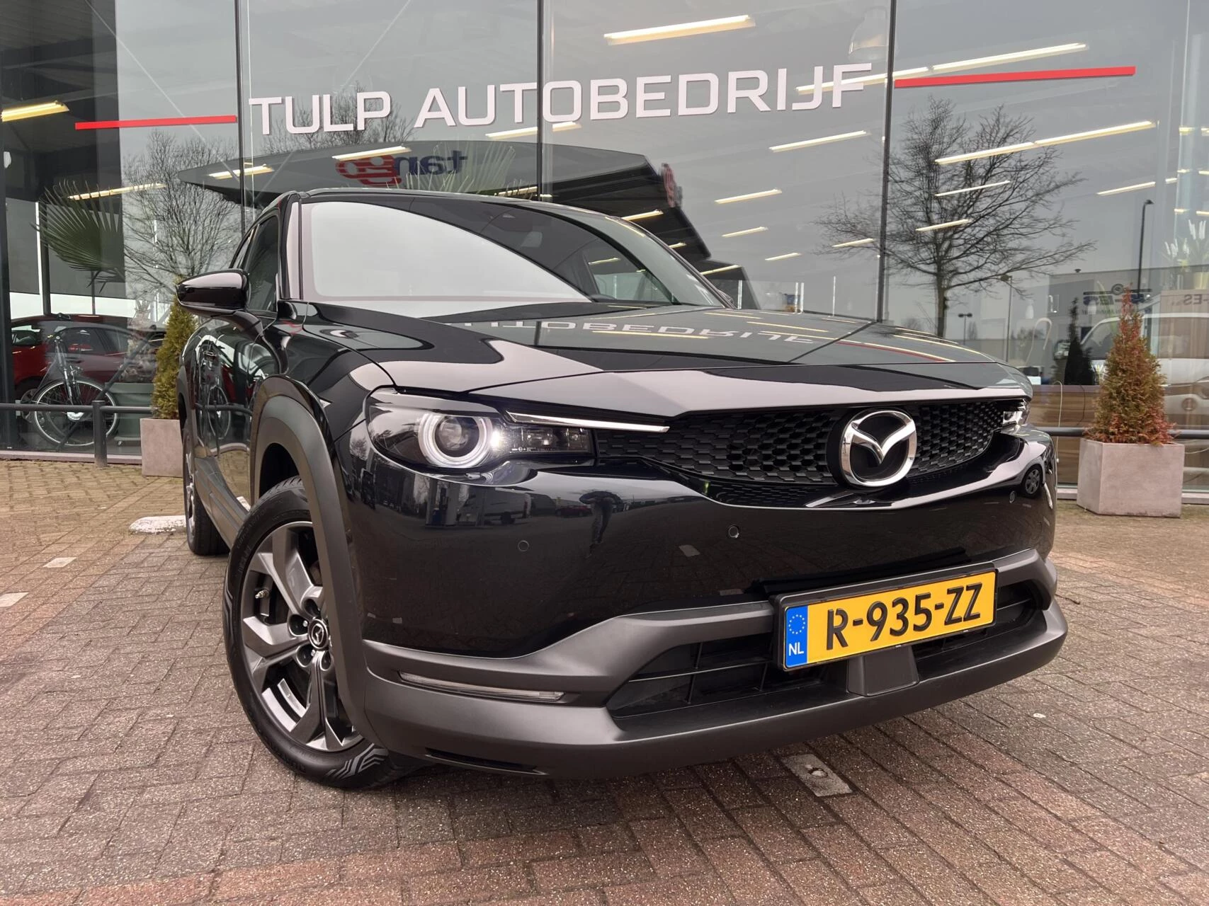 Hoofdafbeelding Mazda MX-30