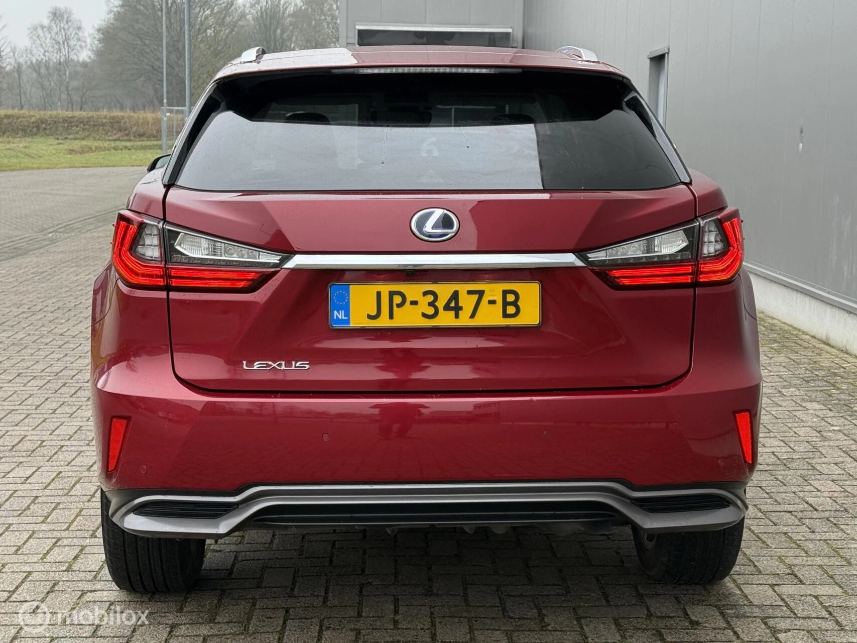 Hoofdafbeelding Lexus RX