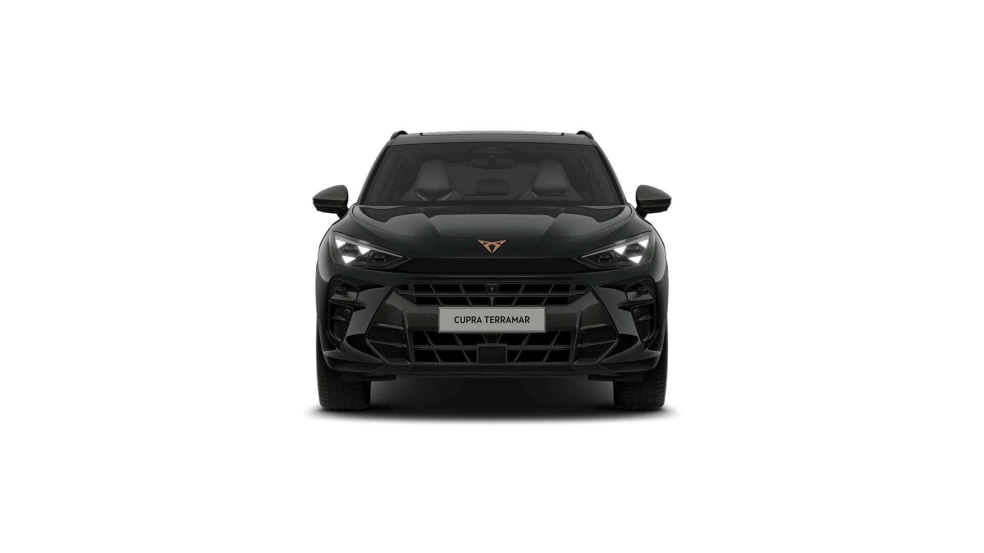 Hoofdafbeelding CUPRA Terramar