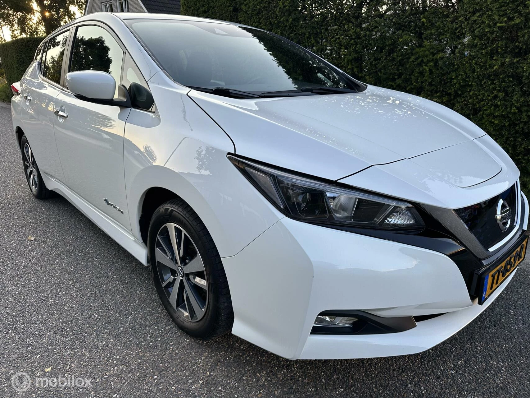 Hoofdafbeelding Nissan Leaf