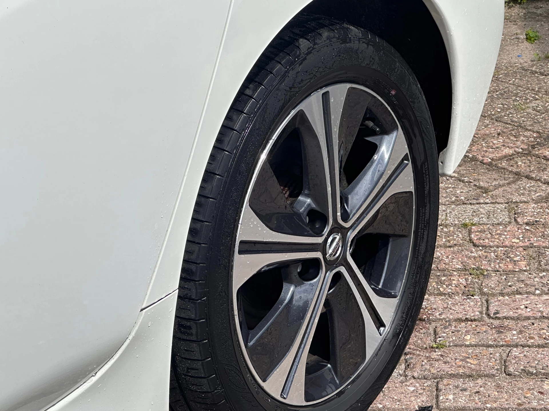Hoofdafbeelding Nissan Leaf