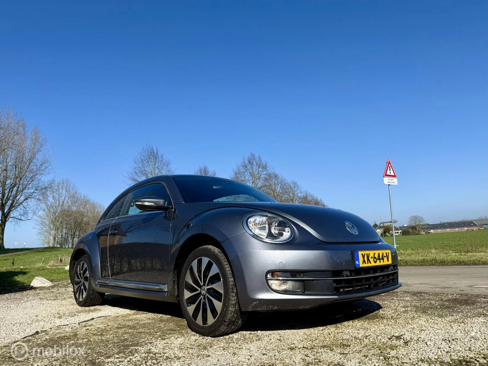 Hoofdafbeelding Volkswagen Beetle