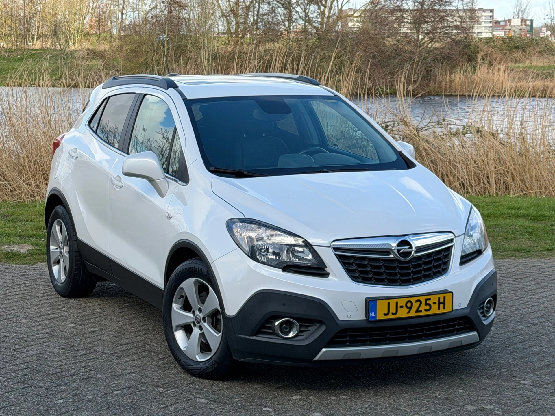 Hoofdafbeelding Opel Mokka