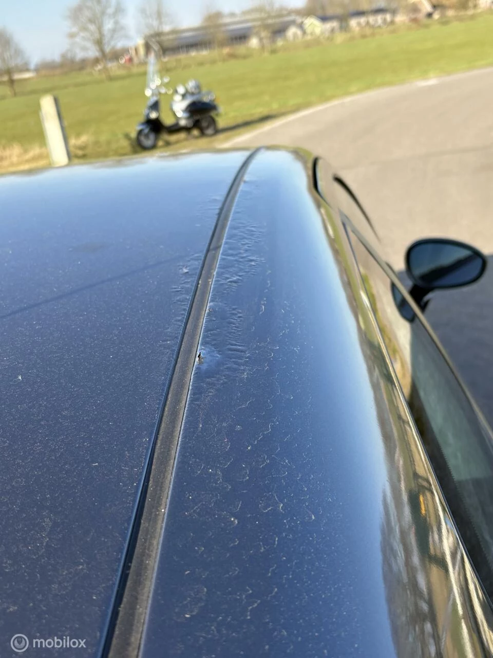 Hoofdafbeelding Fiat Punto