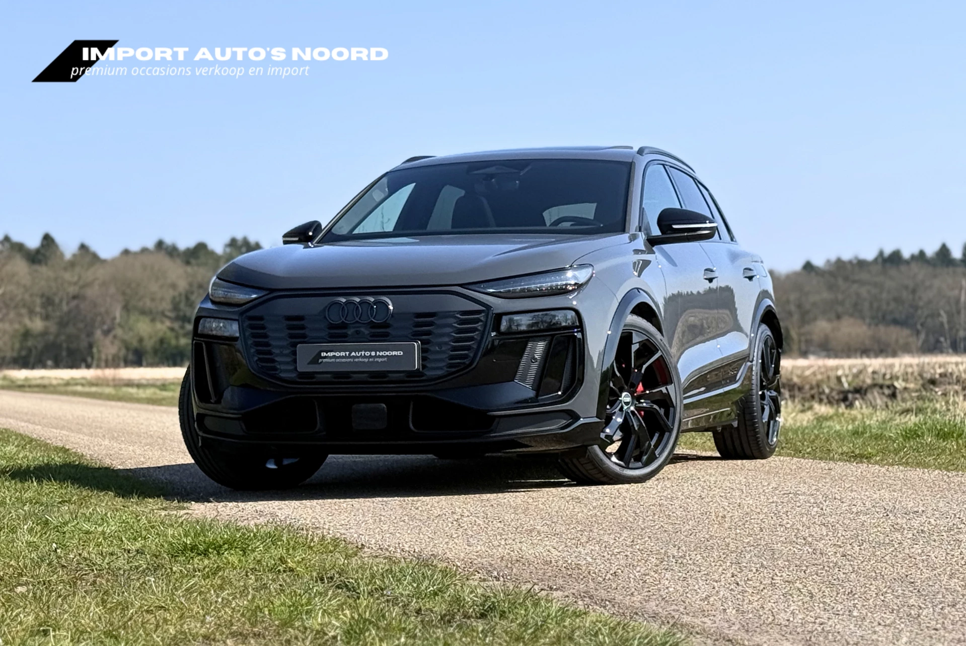 Hoofdafbeelding Audi Q6 e-tron