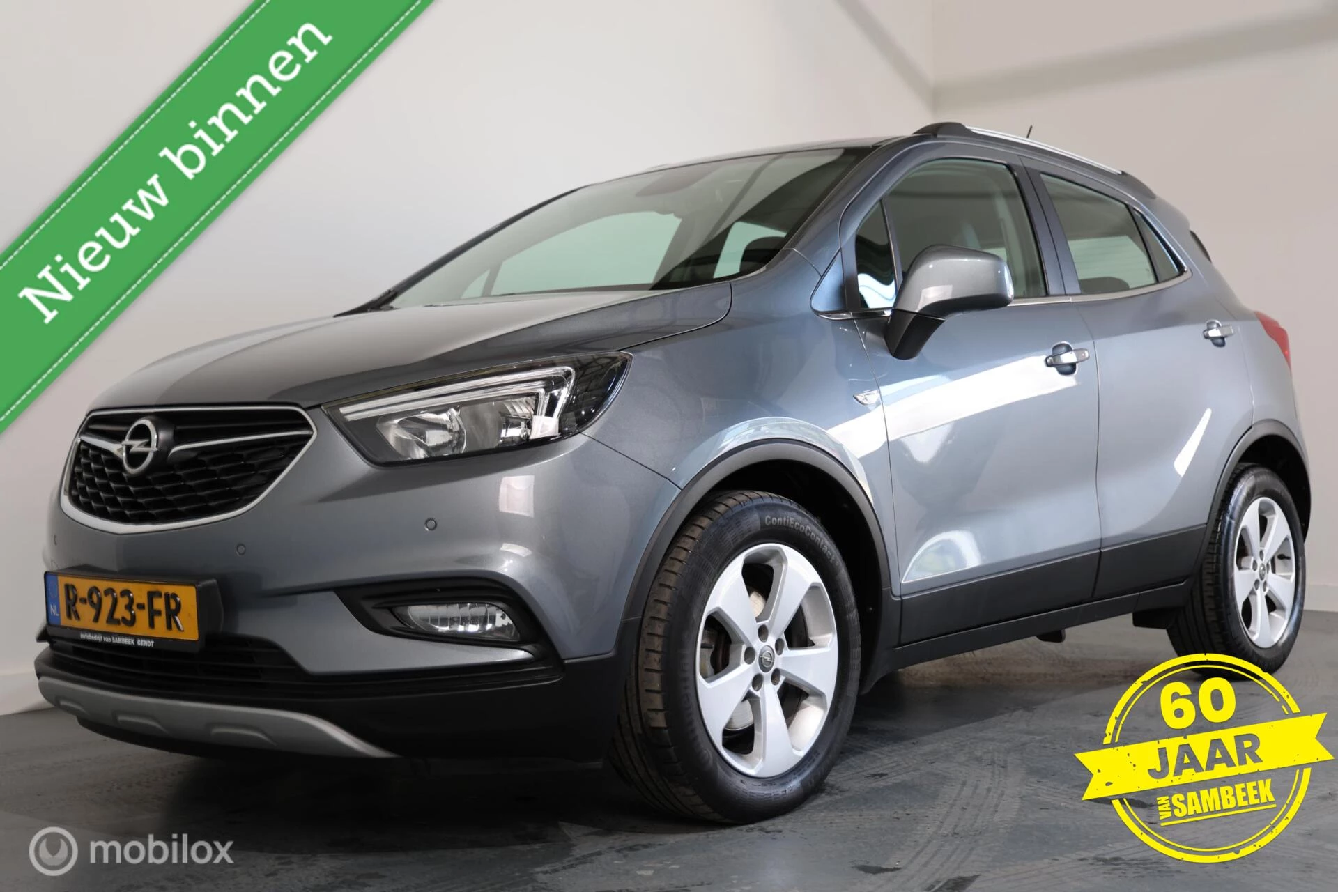 Hoofdafbeelding Opel Mokka X