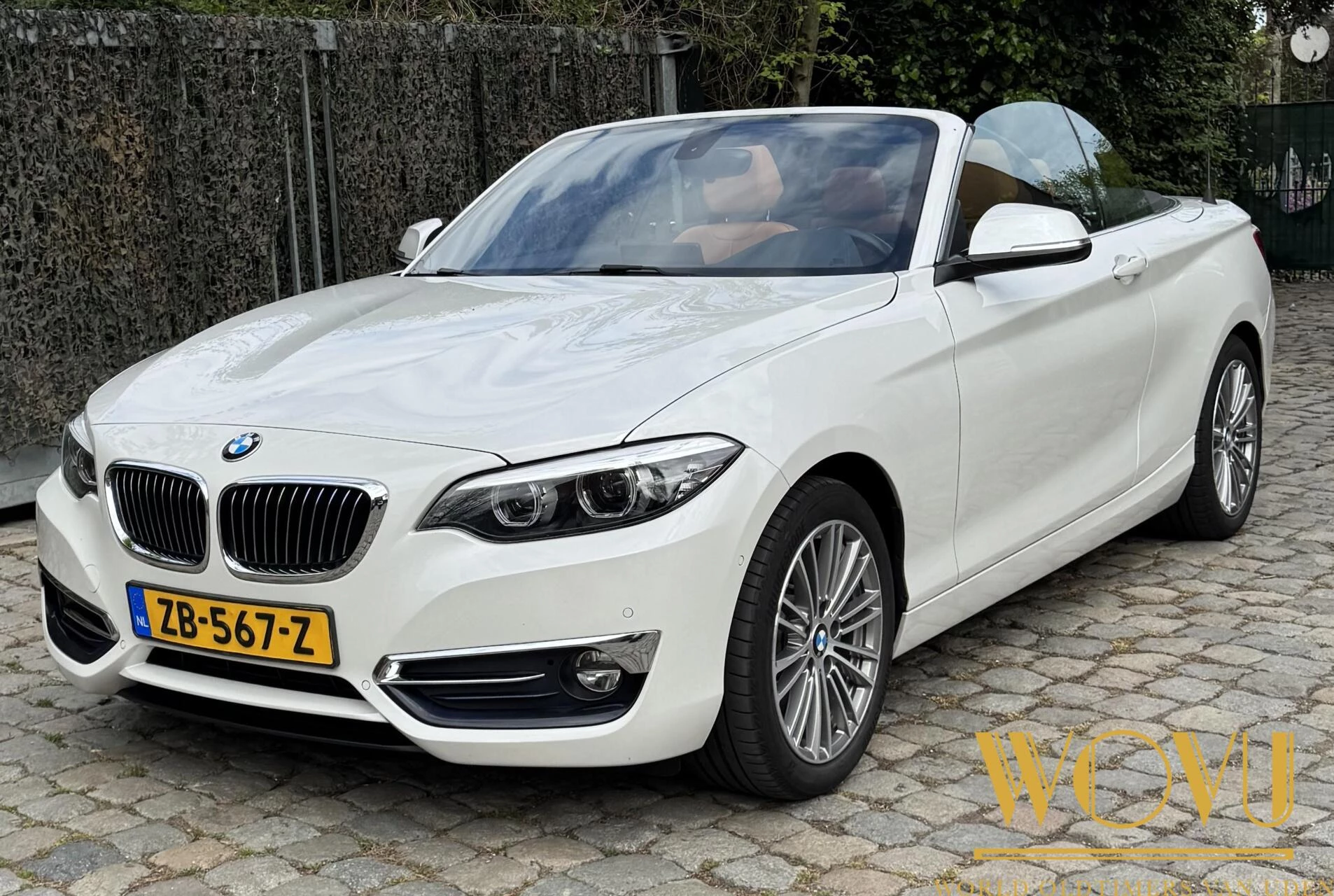 Hoofdafbeelding BMW 2 Serie