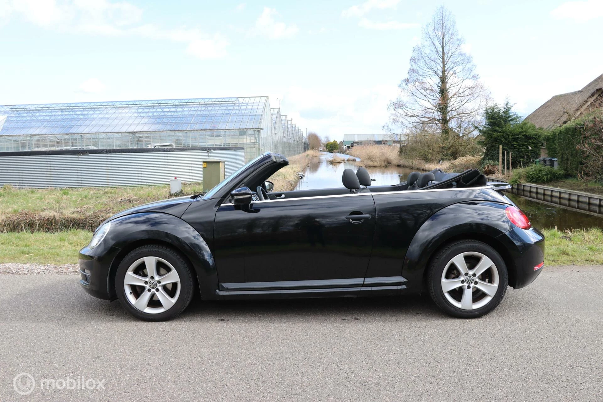 Hoofdafbeelding Volkswagen Beetle