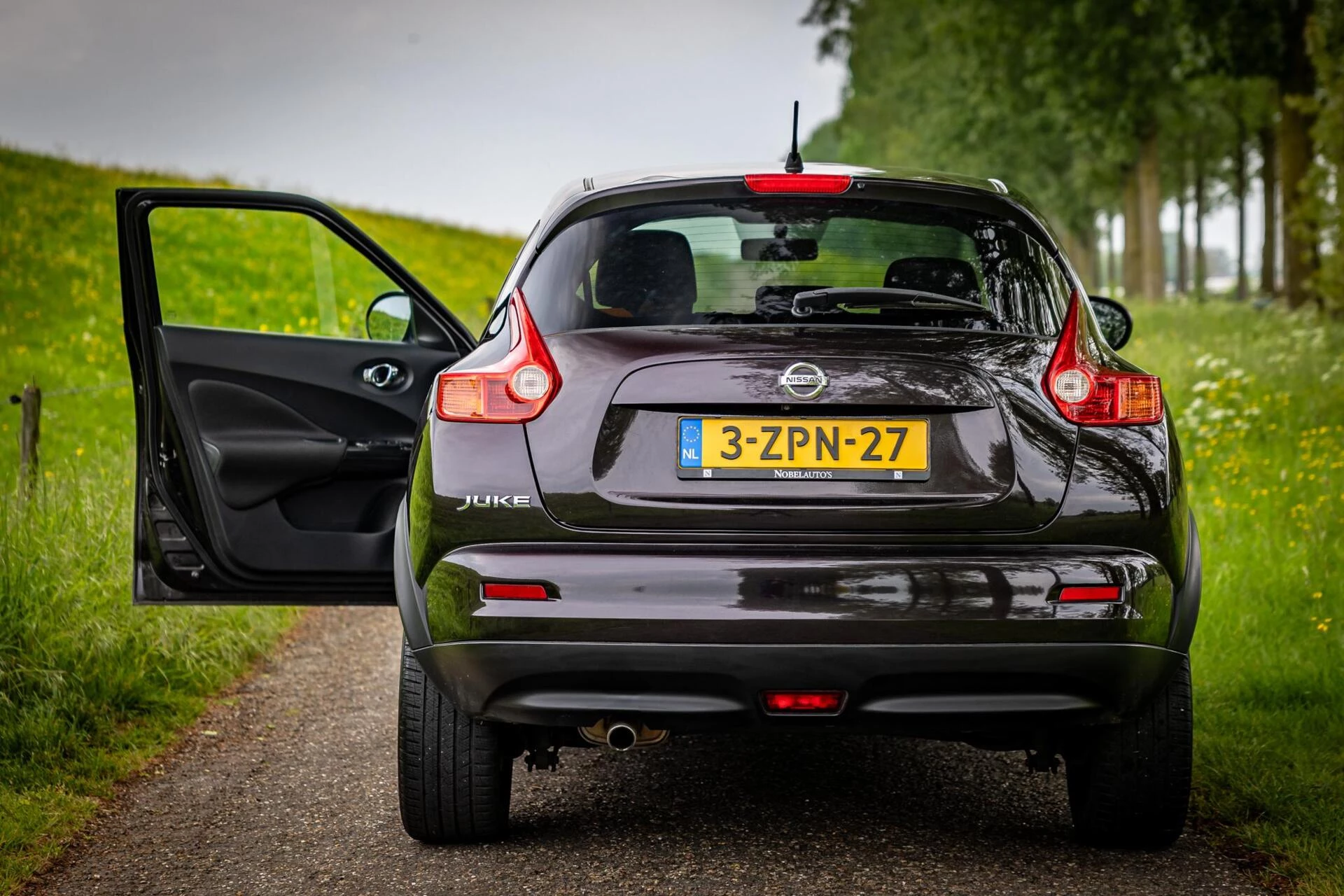 Hoofdafbeelding Nissan Juke