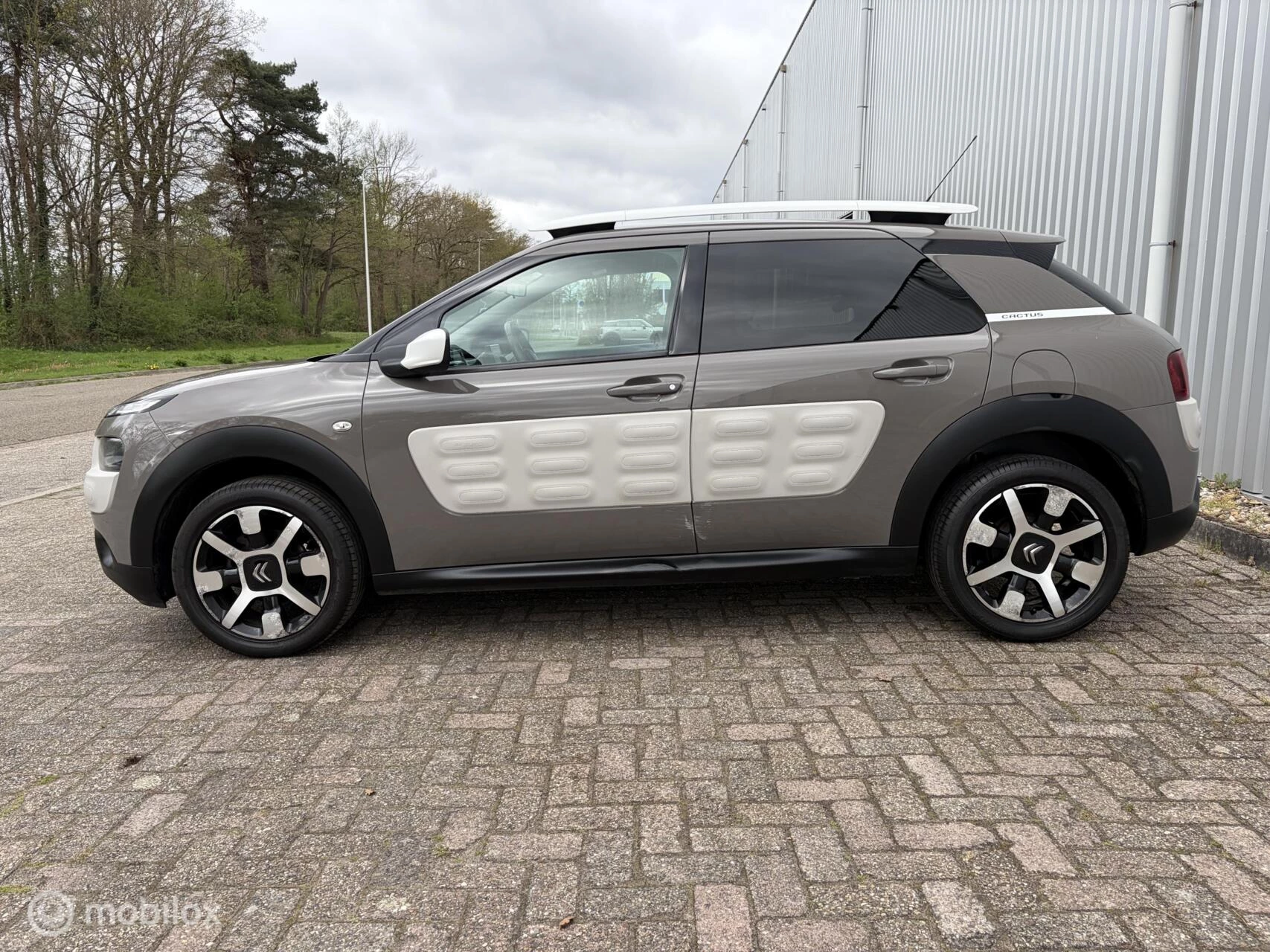 Hoofdafbeelding Citroën C4 Cactus