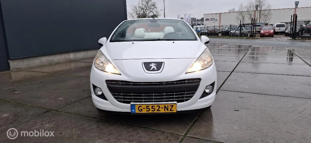 Hoofdafbeelding Peugeot 207