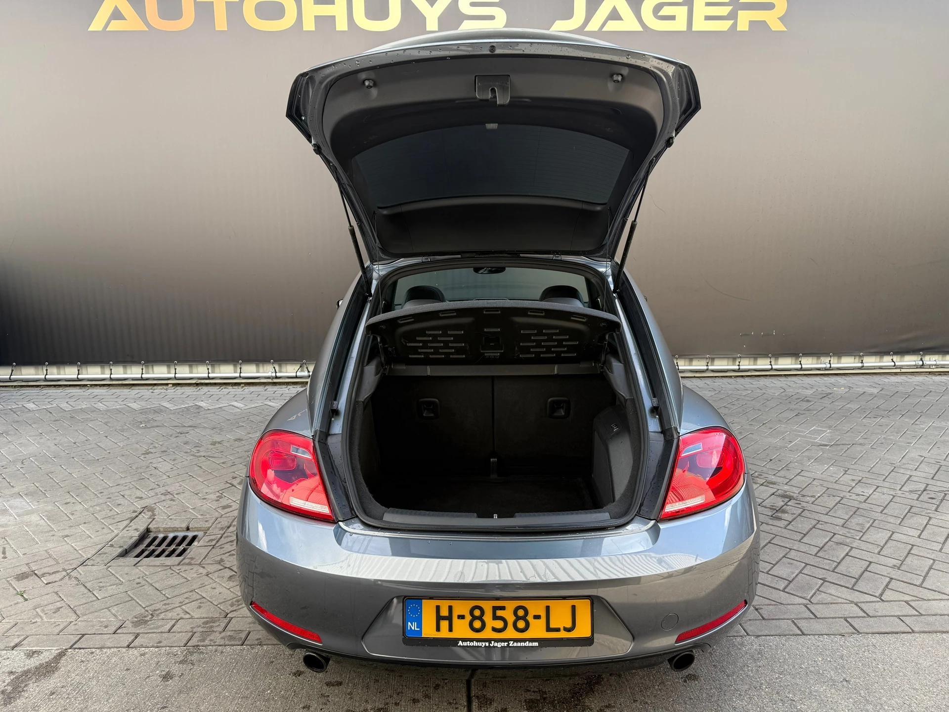 Hoofdafbeelding Volkswagen Beetle