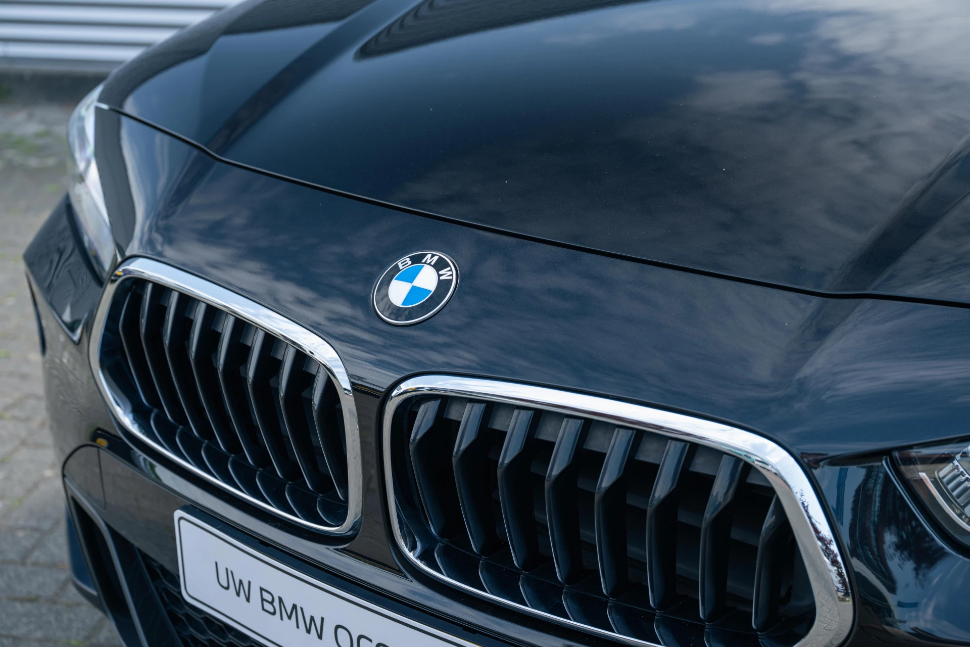 Hoofdafbeelding BMW X2