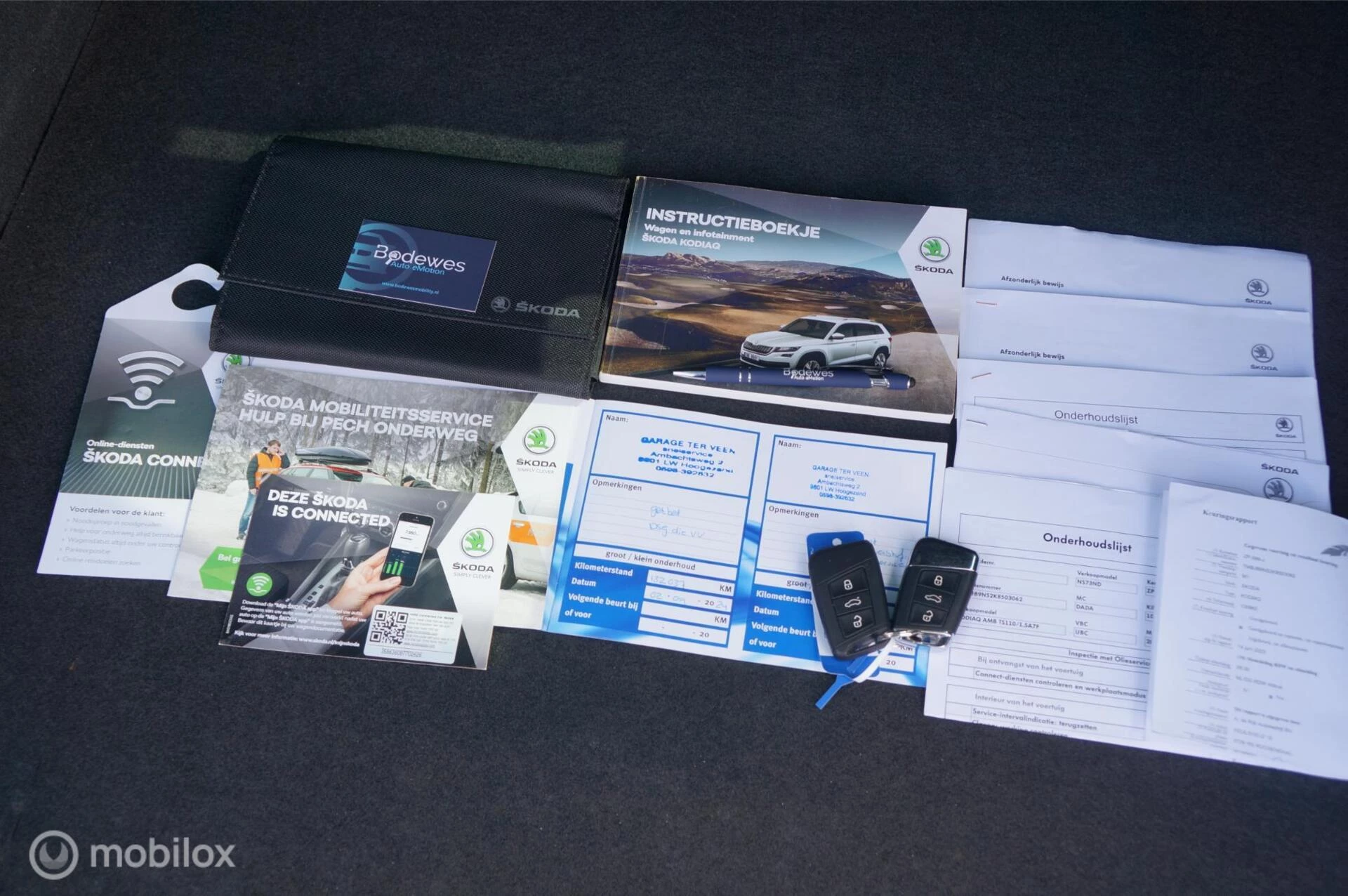 Hoofdafbeelding Škoda Kodiaq