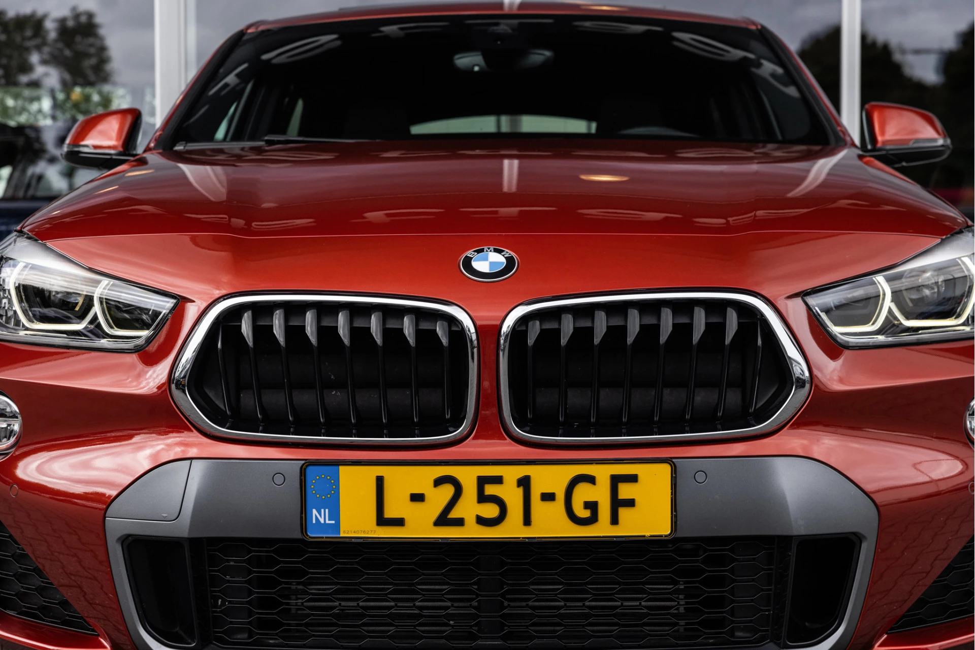 Hoofdafbeelding BMW X2