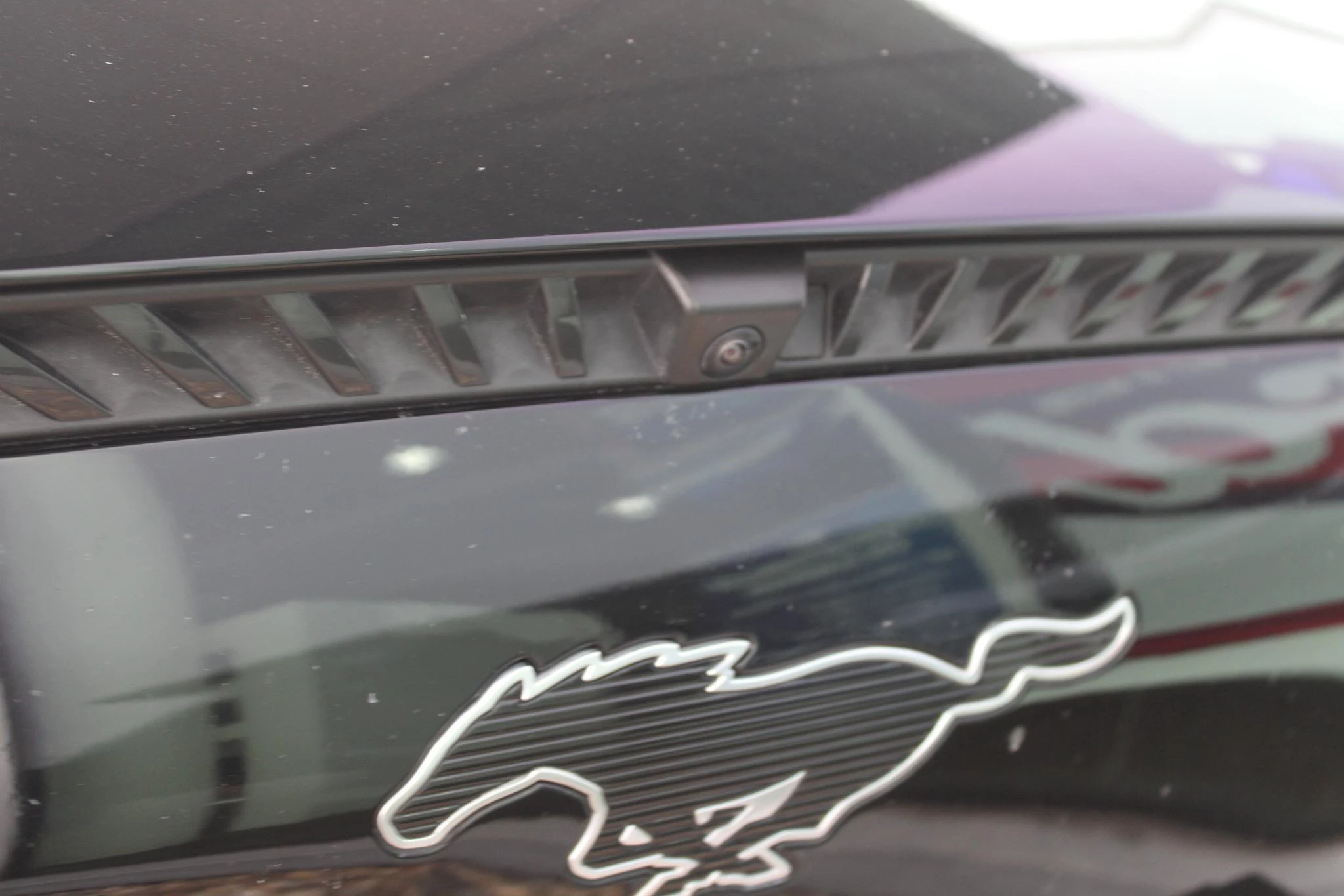 Hoofdafbeelding Ford Mustang Mach-E