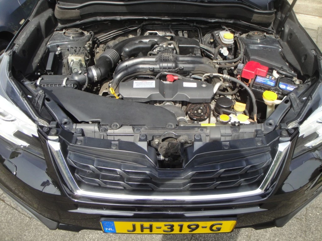 Hoofdafbeelding Subaru Forester