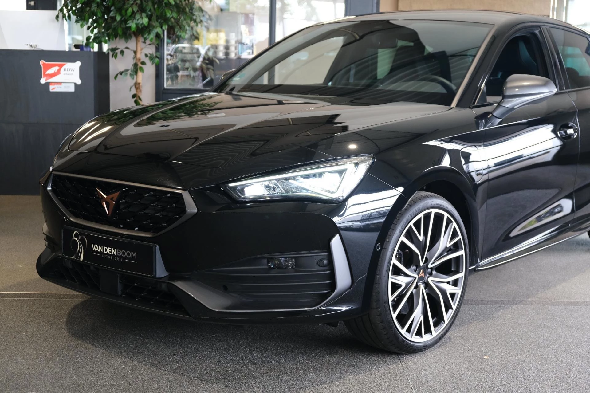 Hoofdafbeelding CUPRA Leon