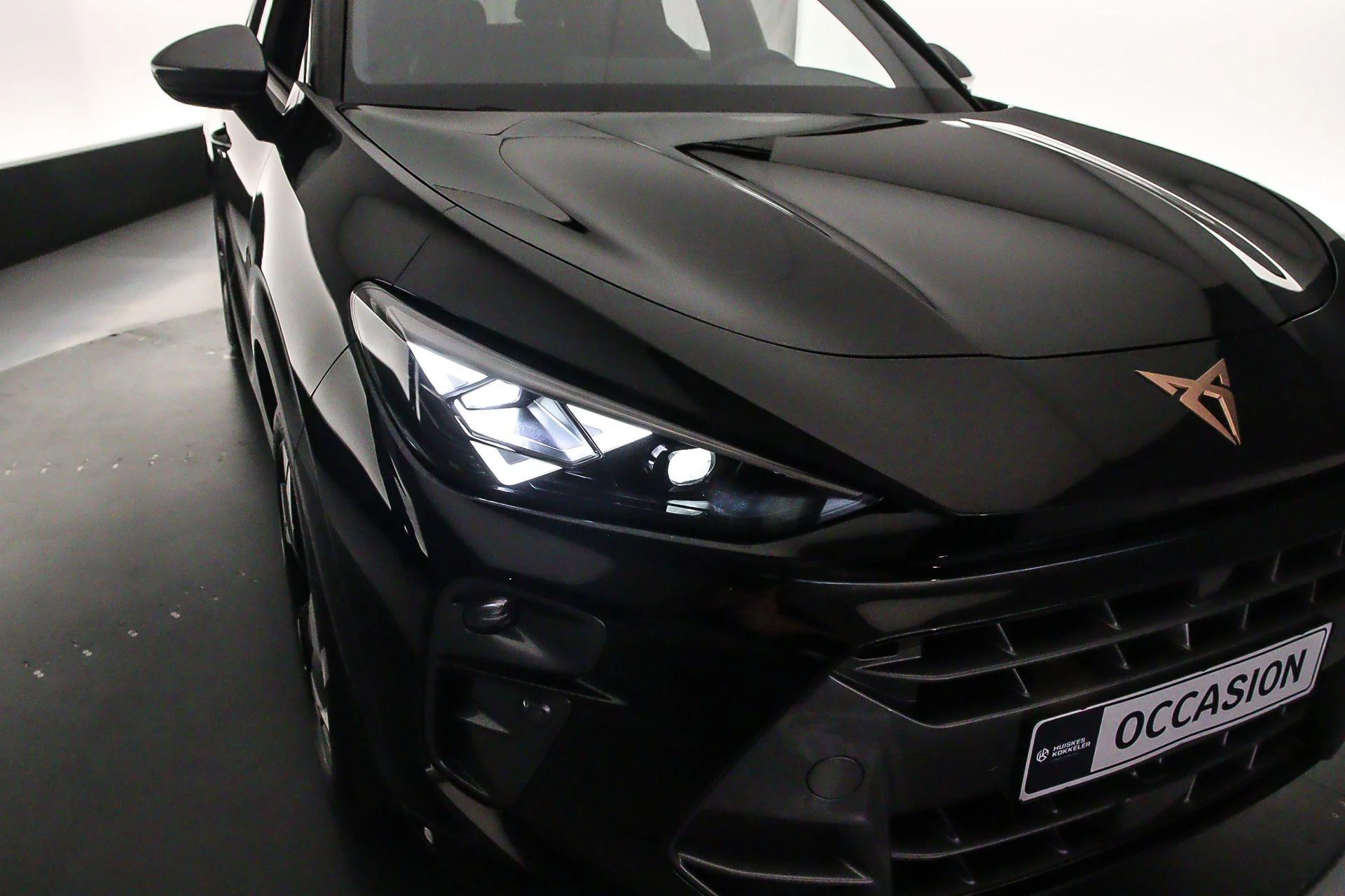Hoofdafbeelding CUPRA Terramar