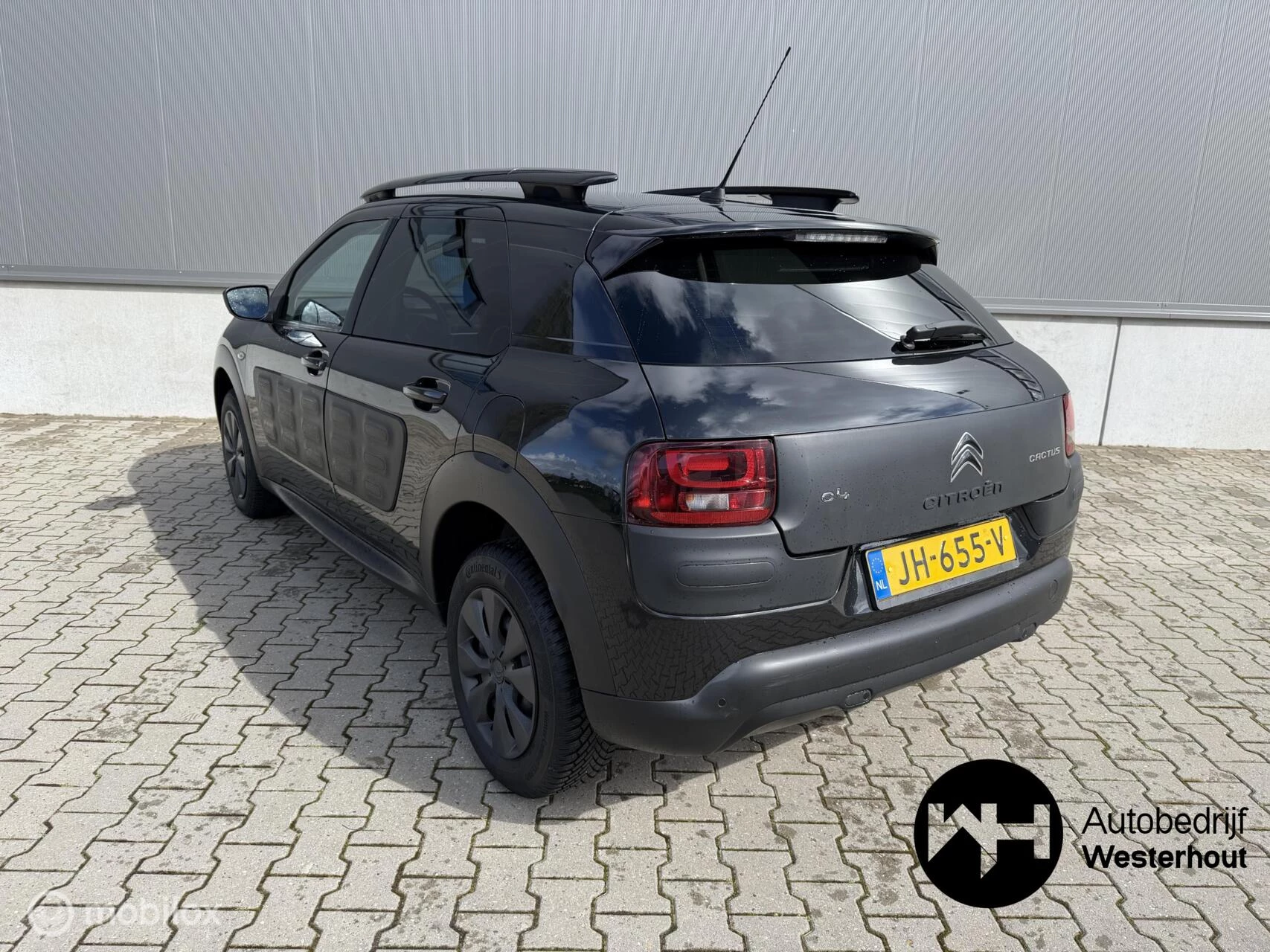 Hoofdafbeelding Citroën C4 Cactus