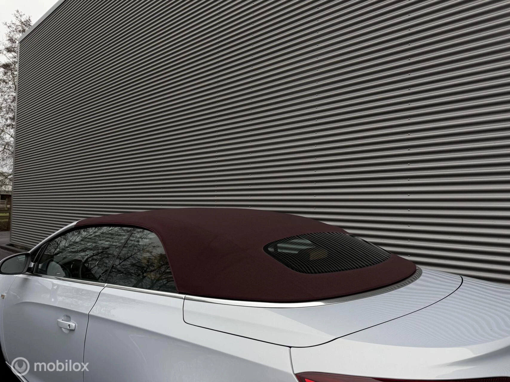 Hoofdafbeelding Opel Cascada