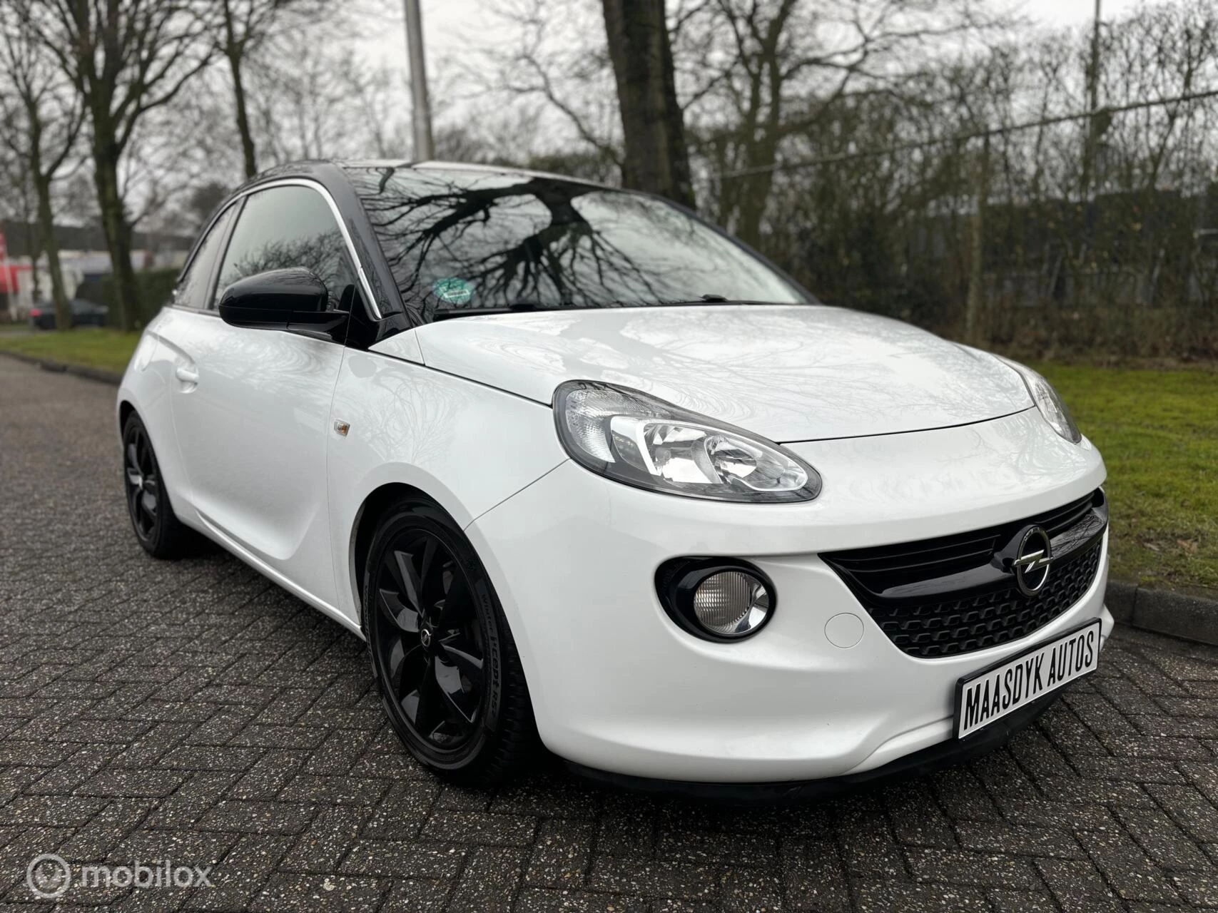 Hoofdafbeelding Opel ADAM