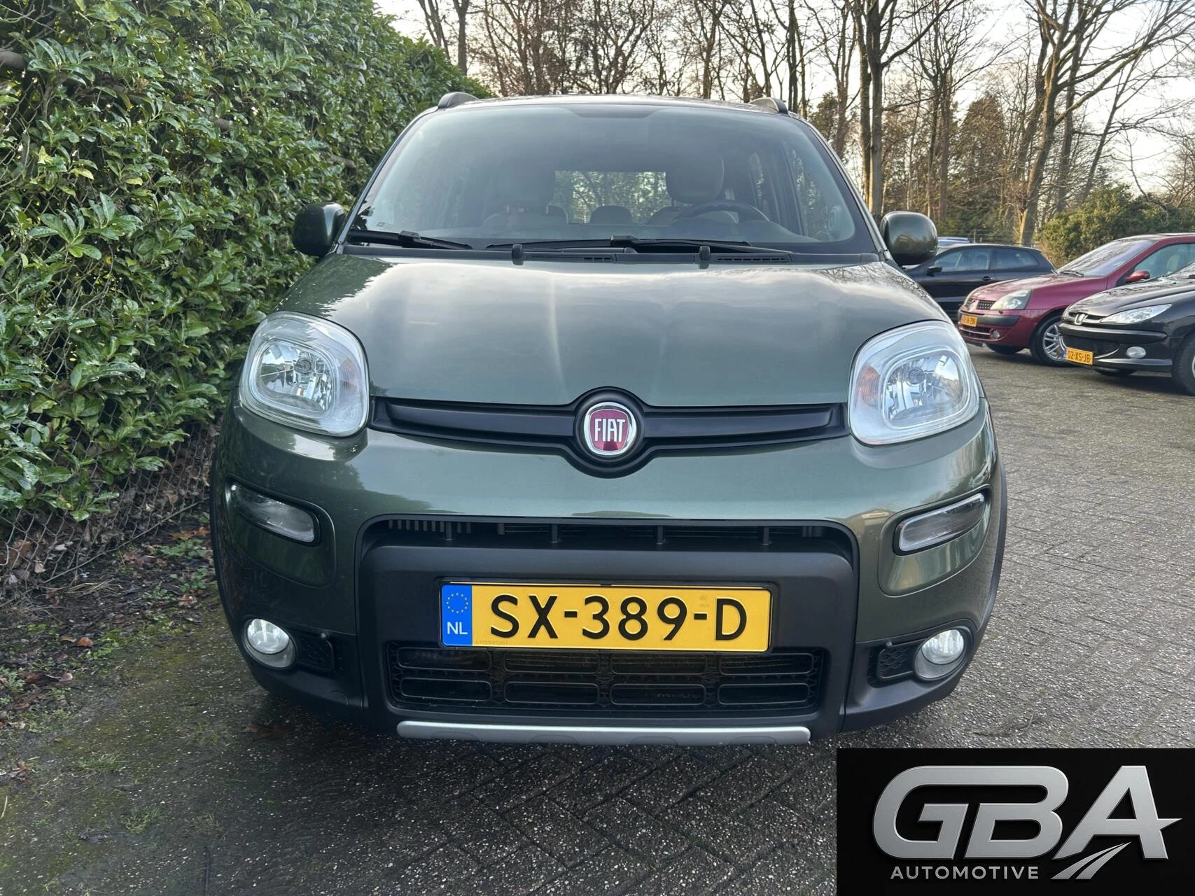 Hoofdafbeelding Fiat Panda