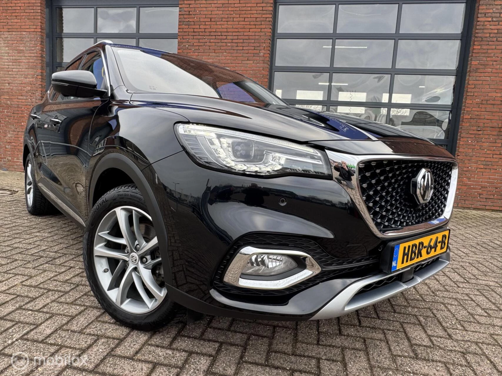 Hoofdafbeelding MG EHS