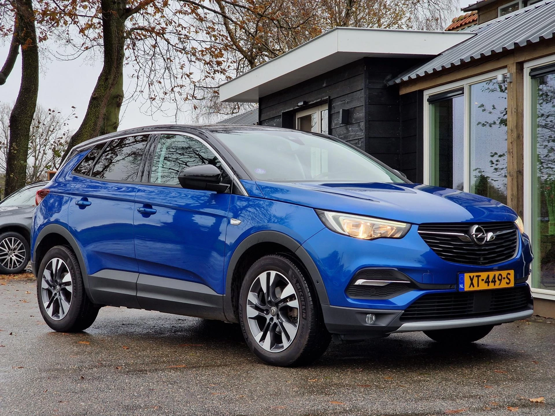 Hoofdafbeelding Opel Grandland X