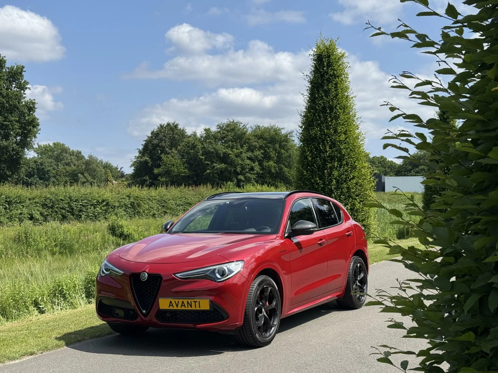 Hoofdafbeelding Alfa Romeo Stelvio