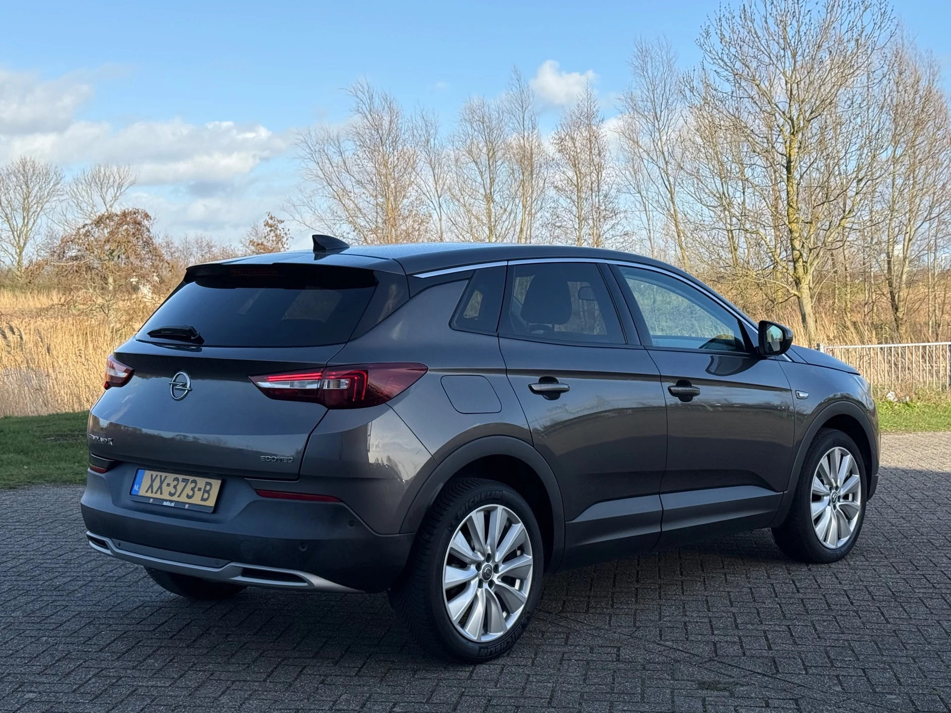 Hoofdafbeelding Opel Grandland X